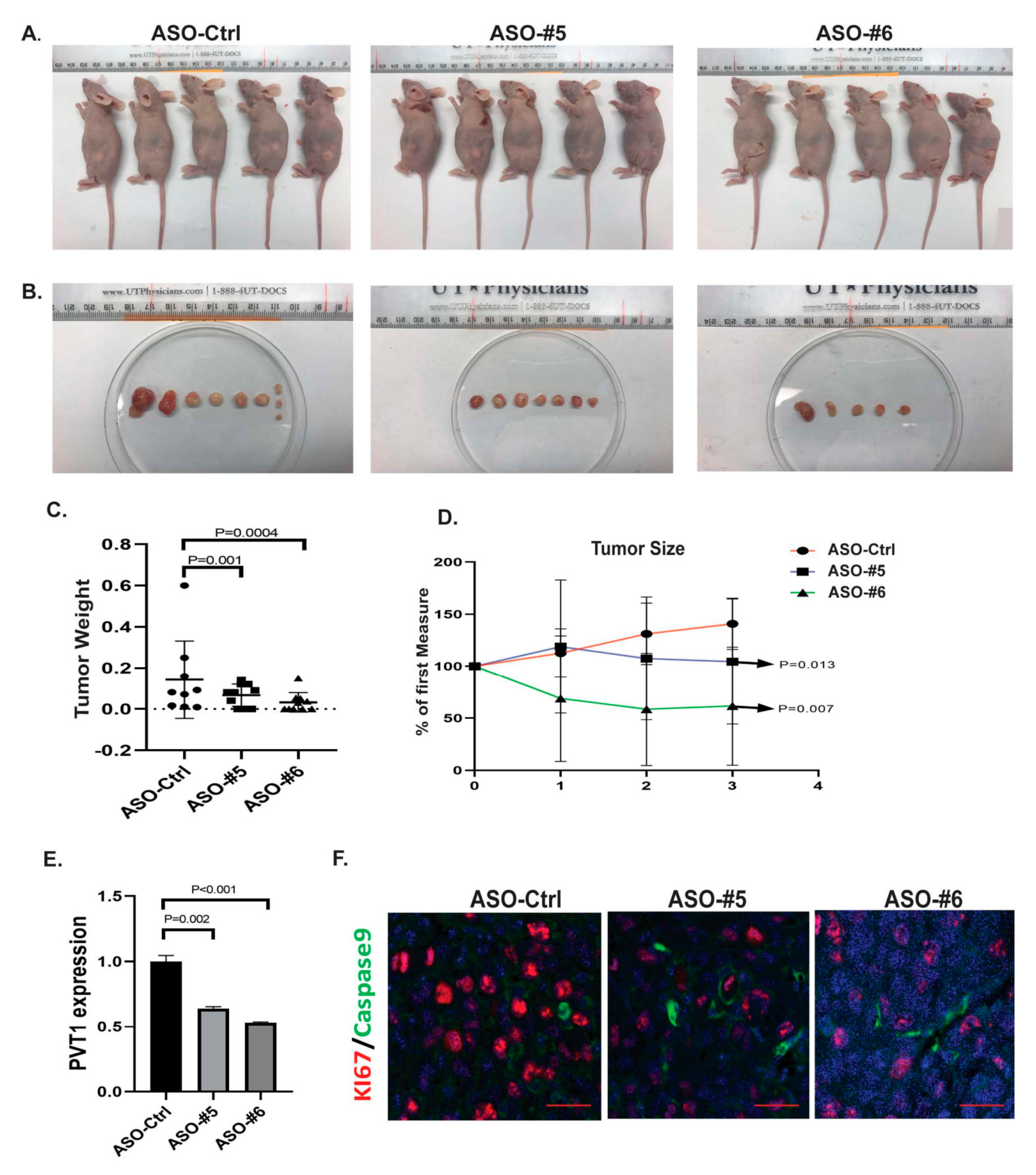 Cancers 12 02995 g005