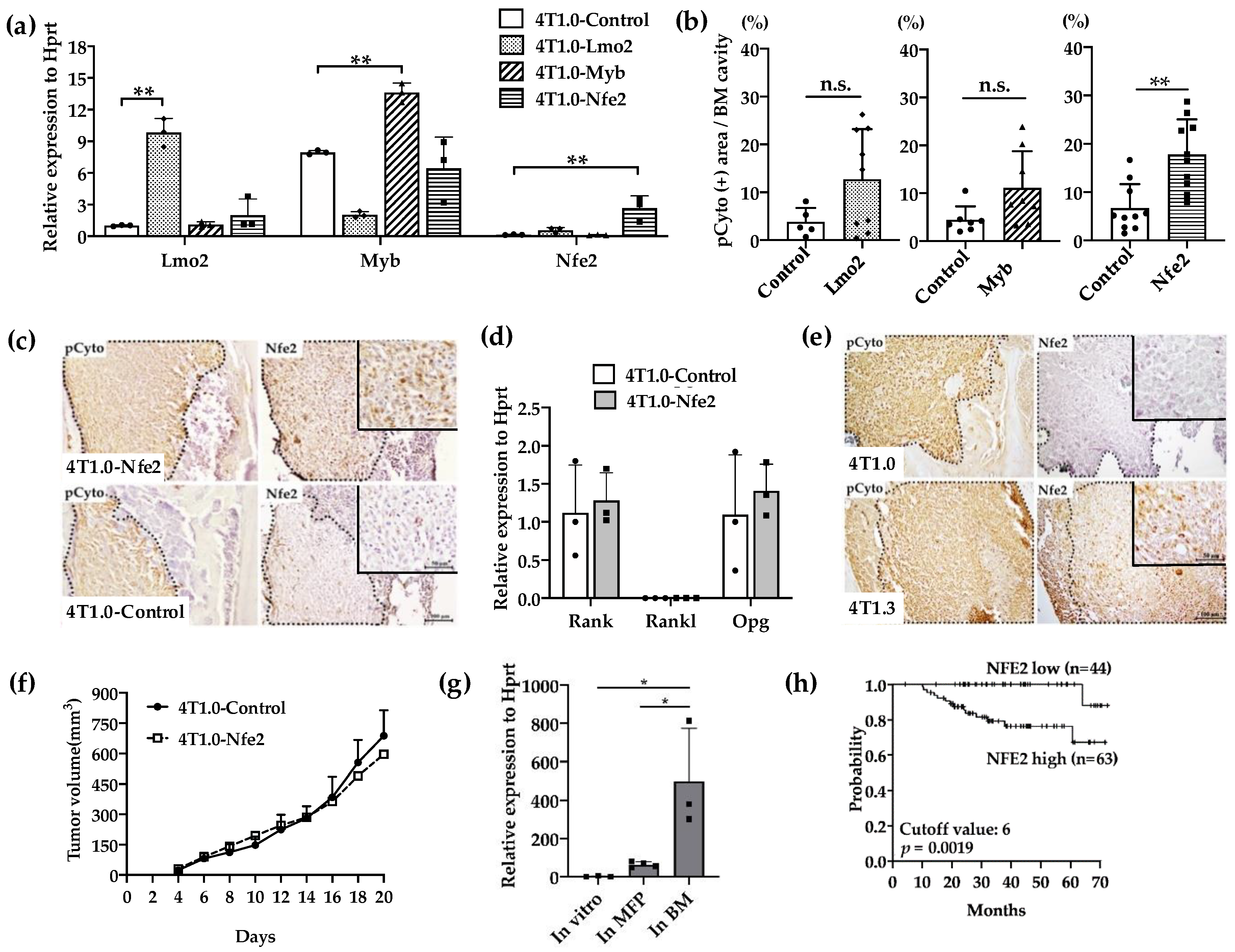 Cancers 12 03003 g003