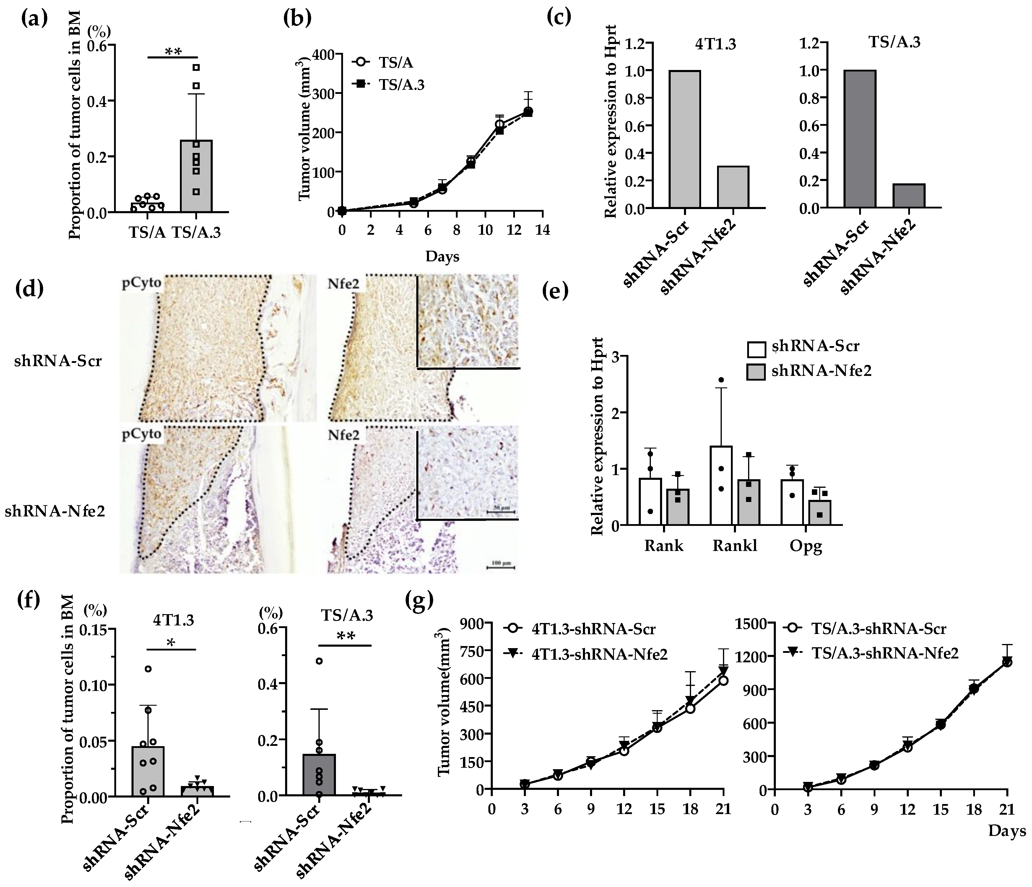 Cancers 12 03003 g004