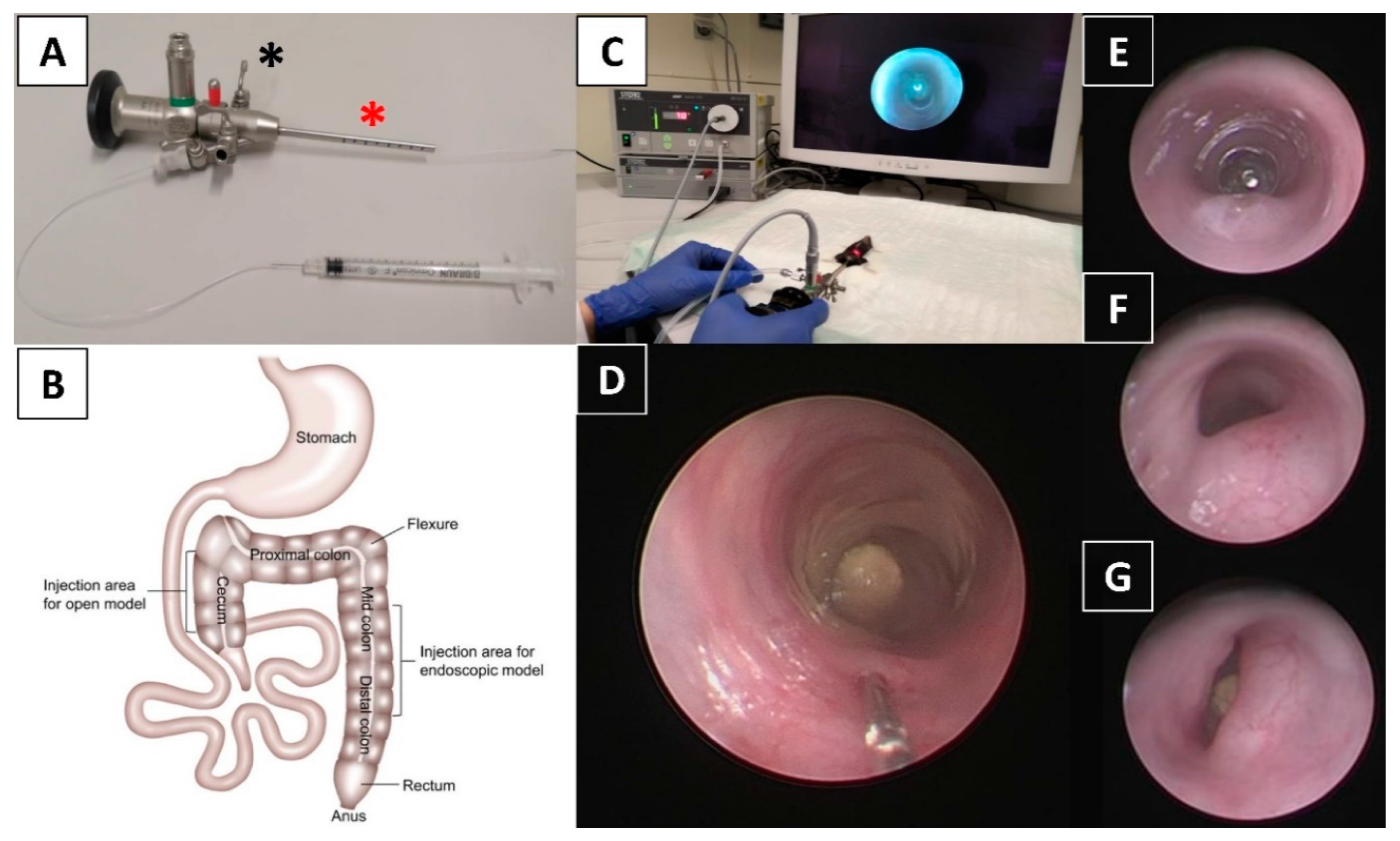 Cancers 12 03007 g006