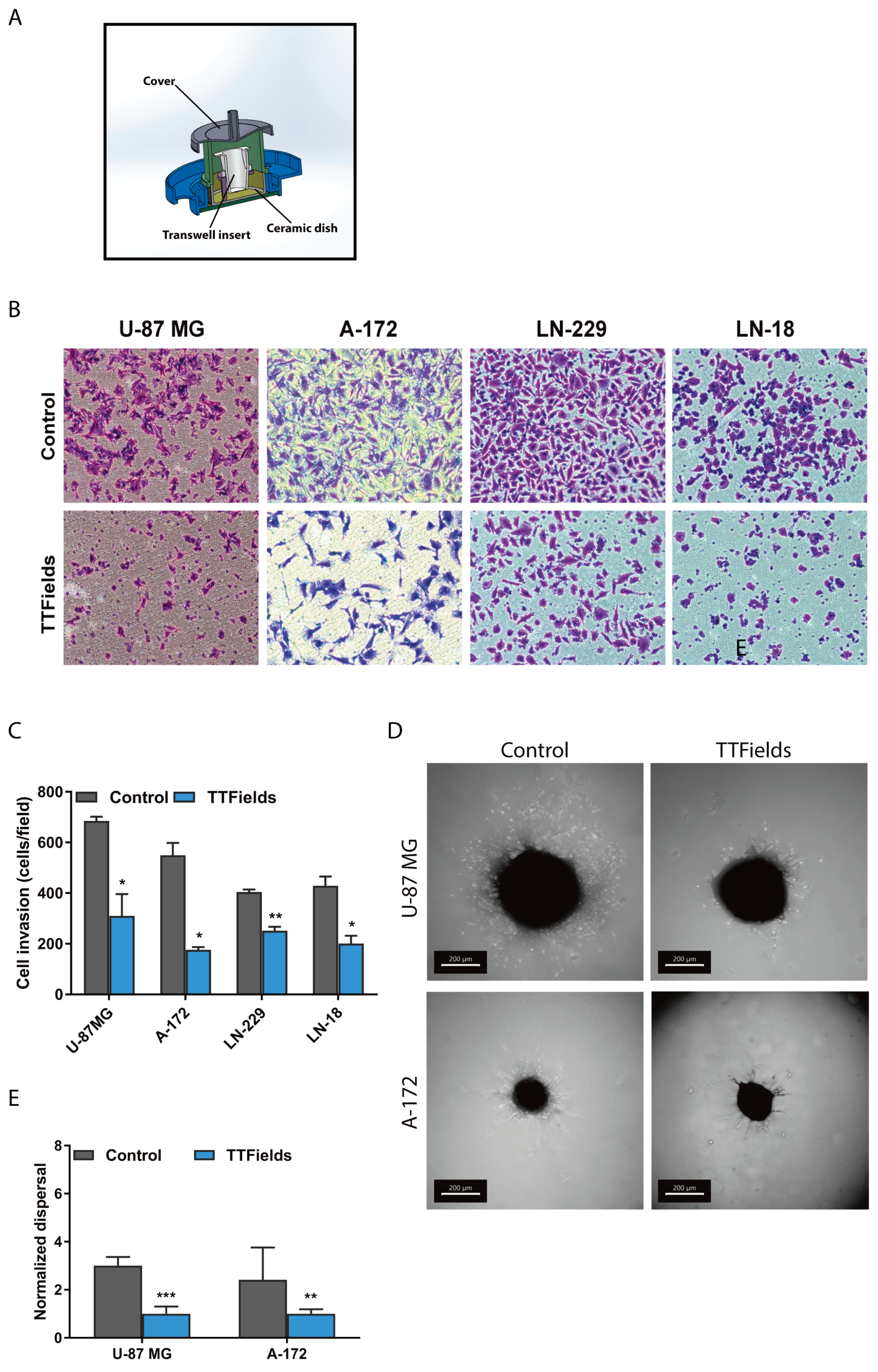 Cancers 12 03016 g001 Cancers 12 03016 g001