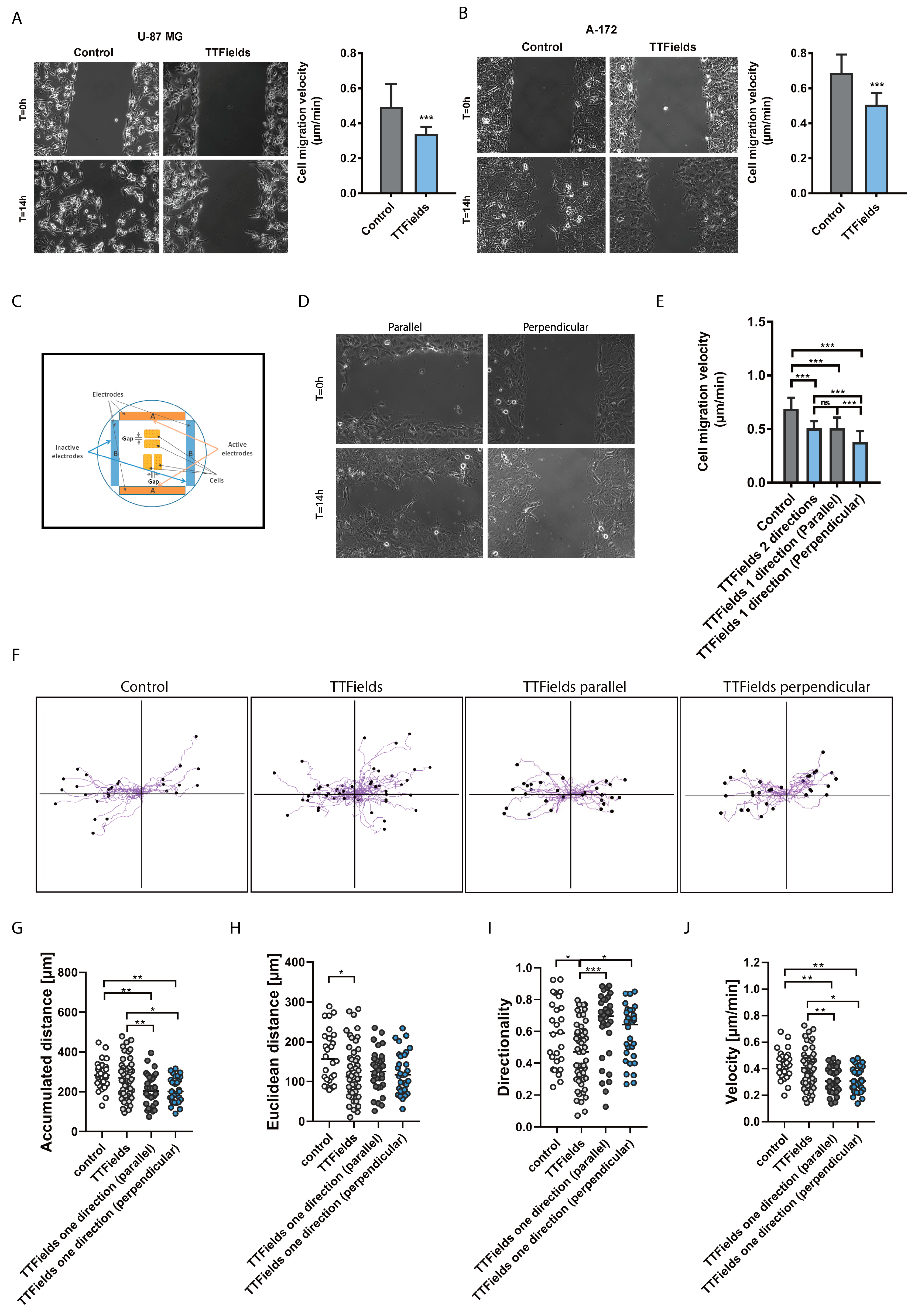 Cancers 12 03016 g002 Cancers 12 03016 g002