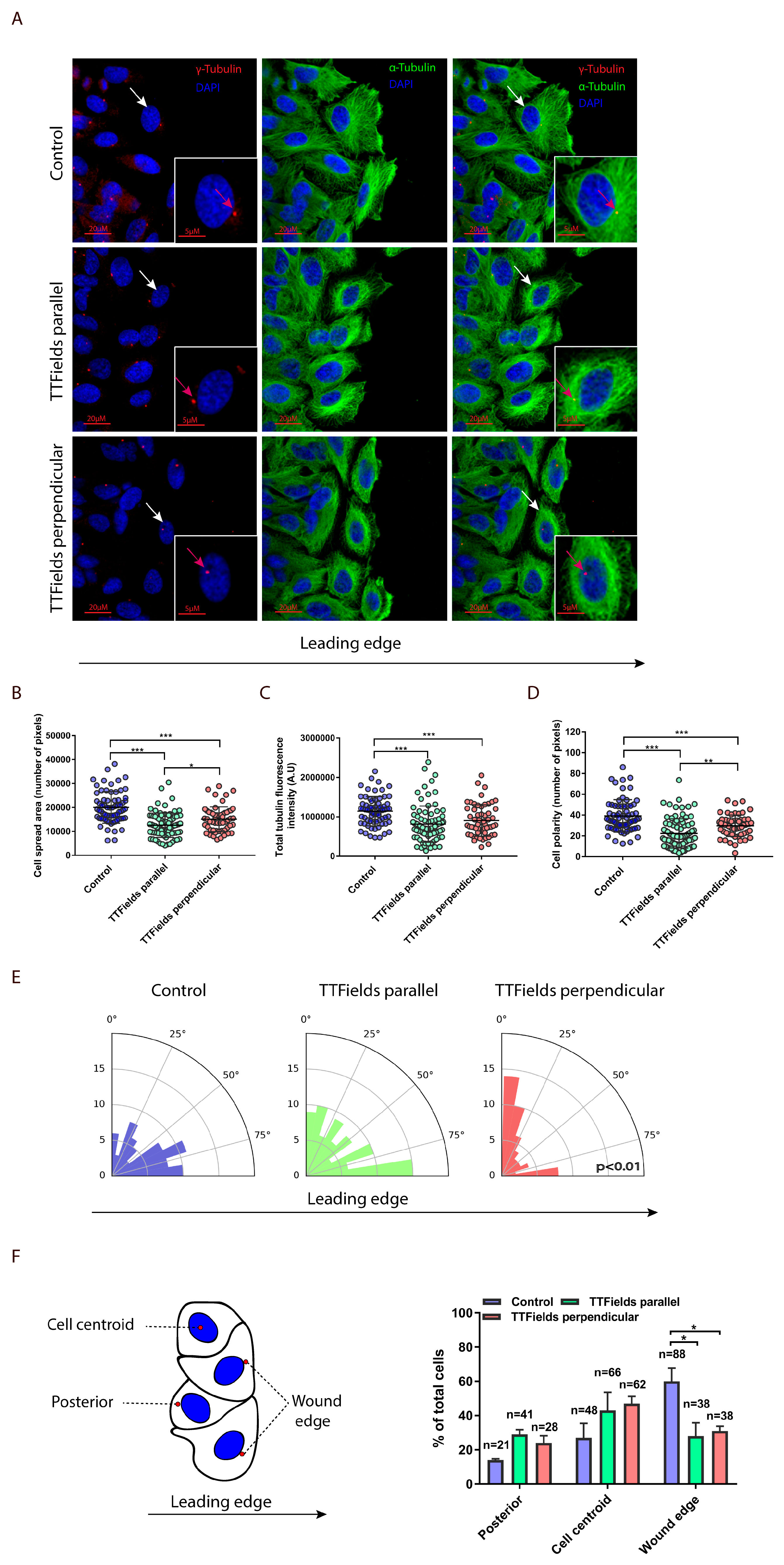 Cancers 12 03016 g003 Cancers 12 03016 g003
