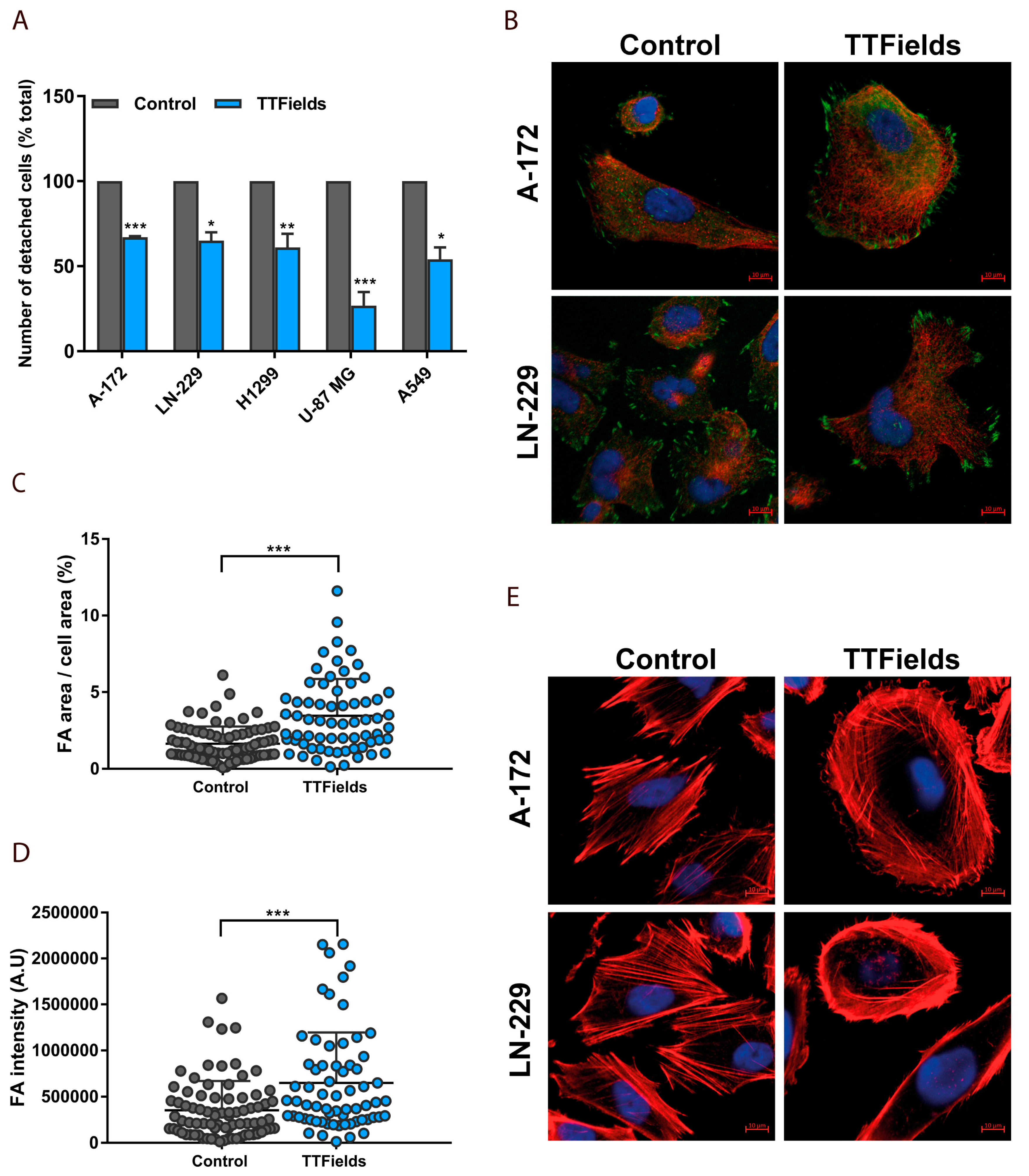 Cancers 12 03016 g004 Cancers 12 03016 g004