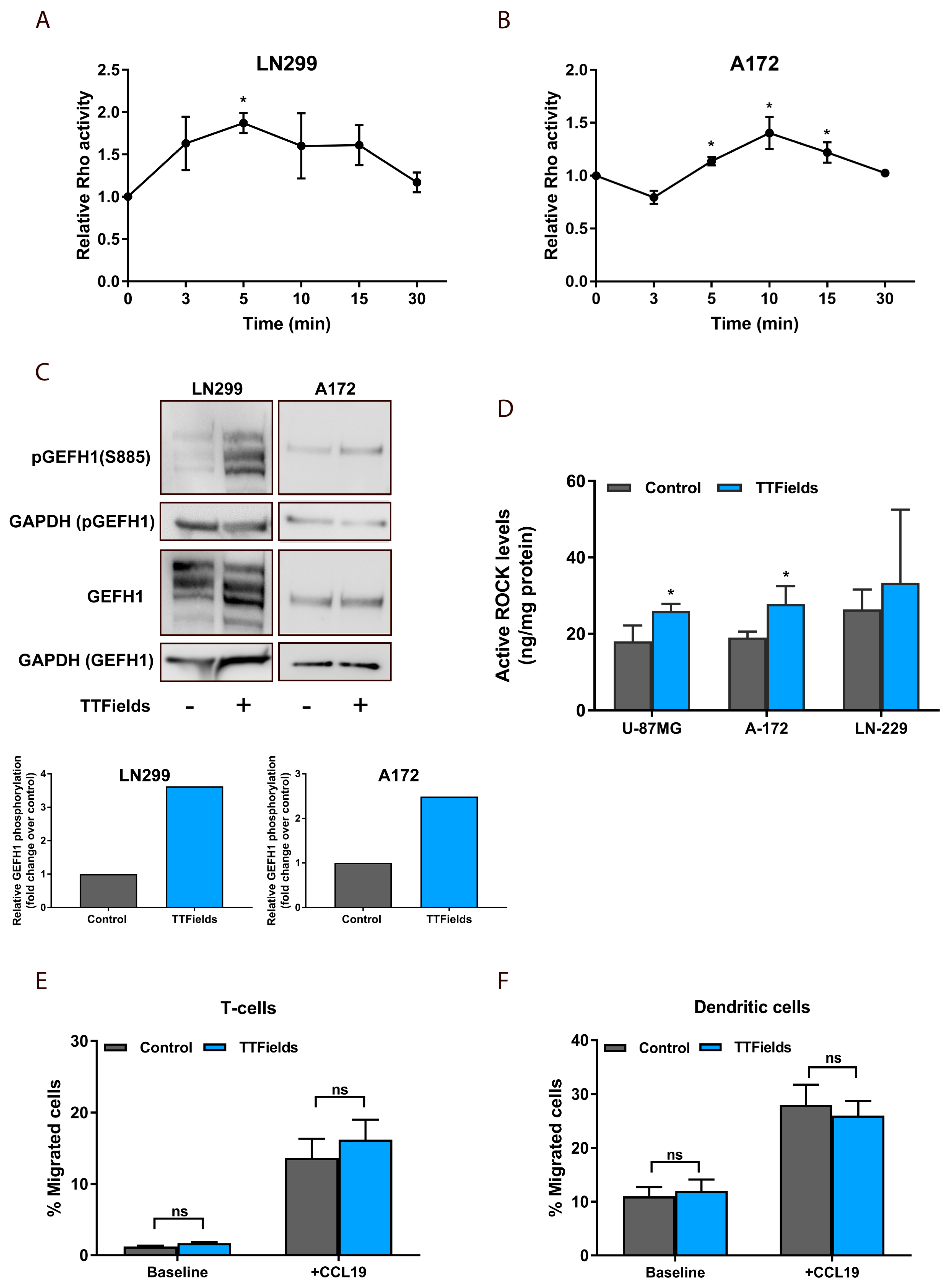 Cancers 12 03016 g005 Cancers 12 03016 g005
