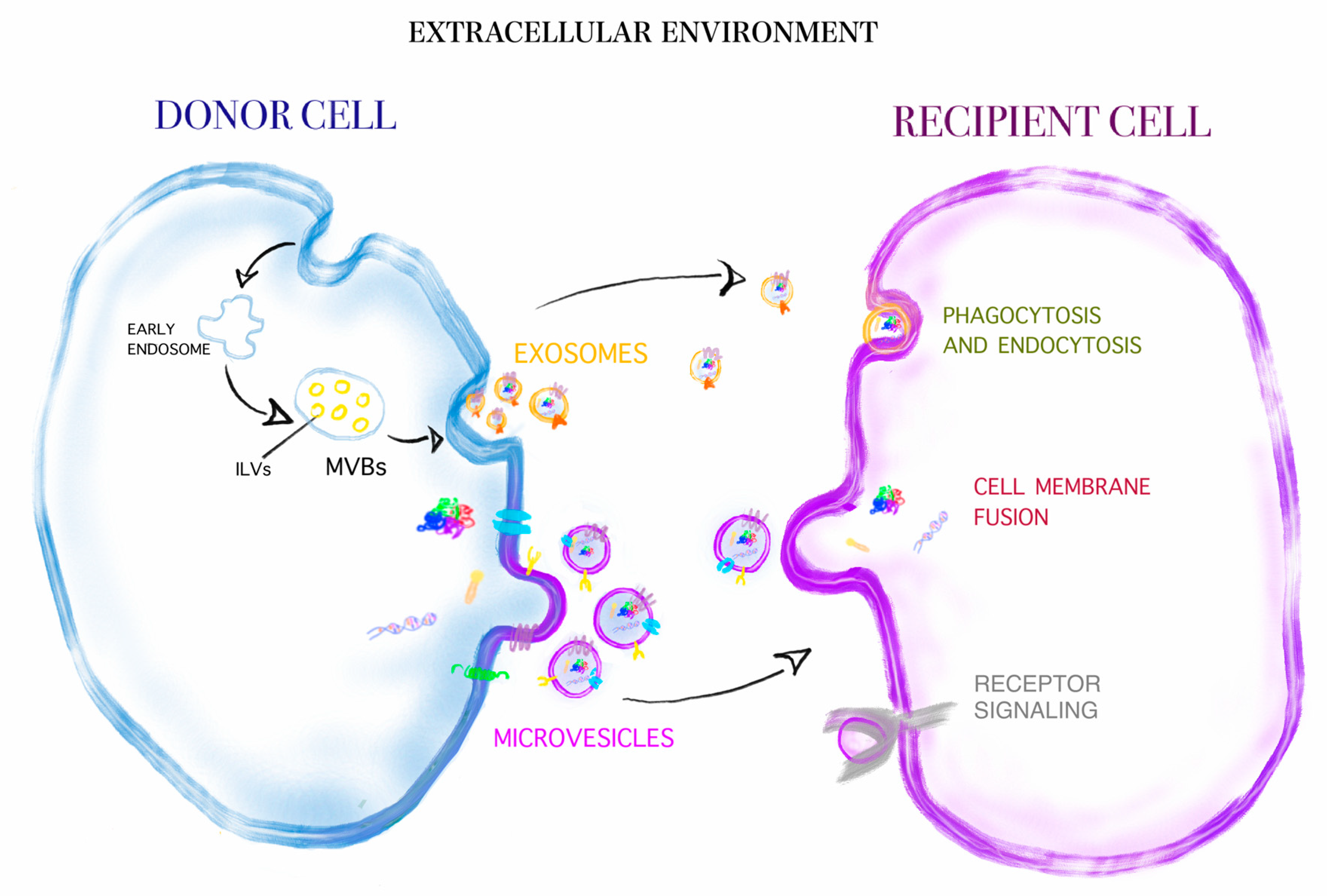 Cancers 12 03019 g001