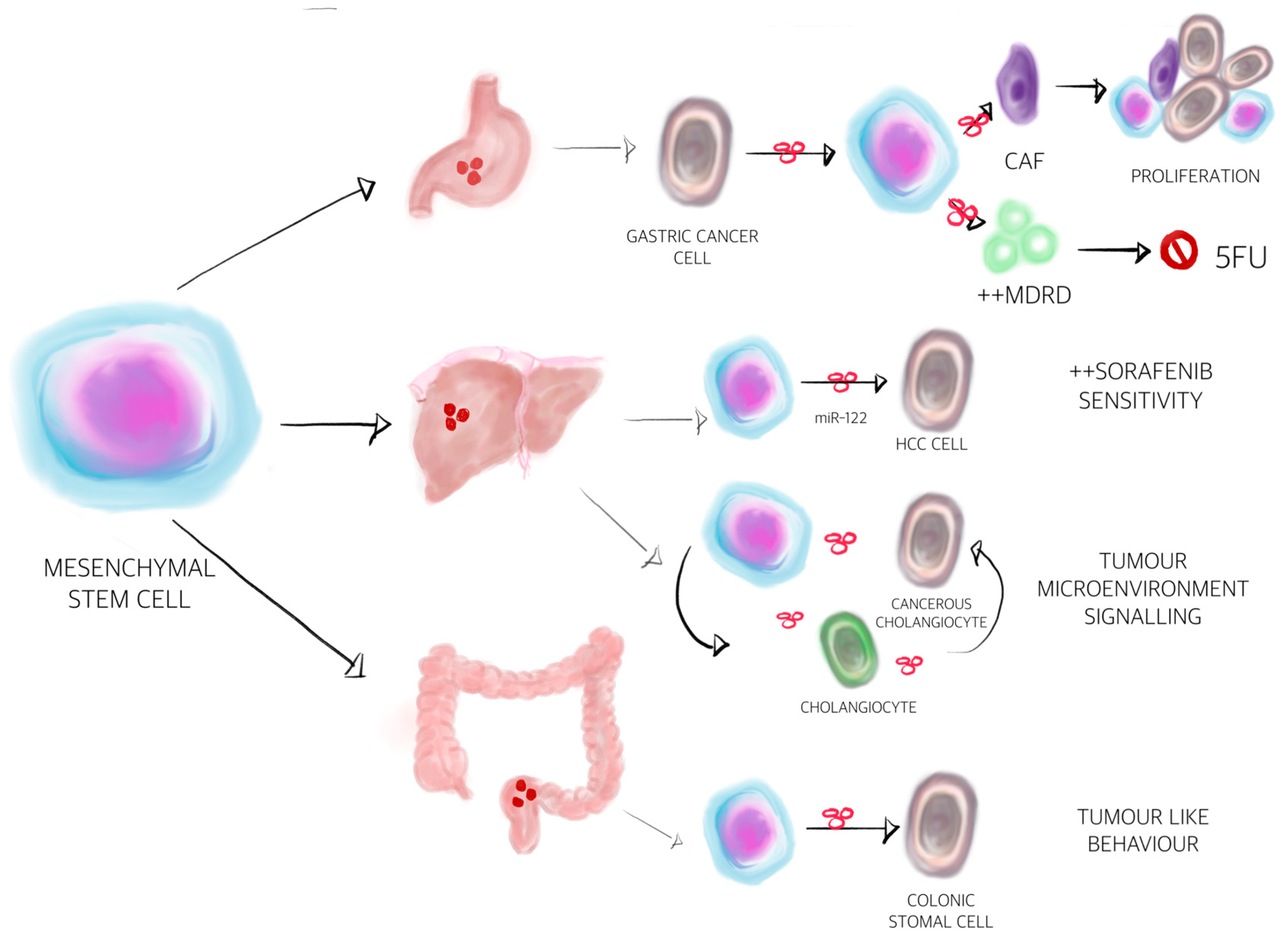 Cancers 12 03019 g003