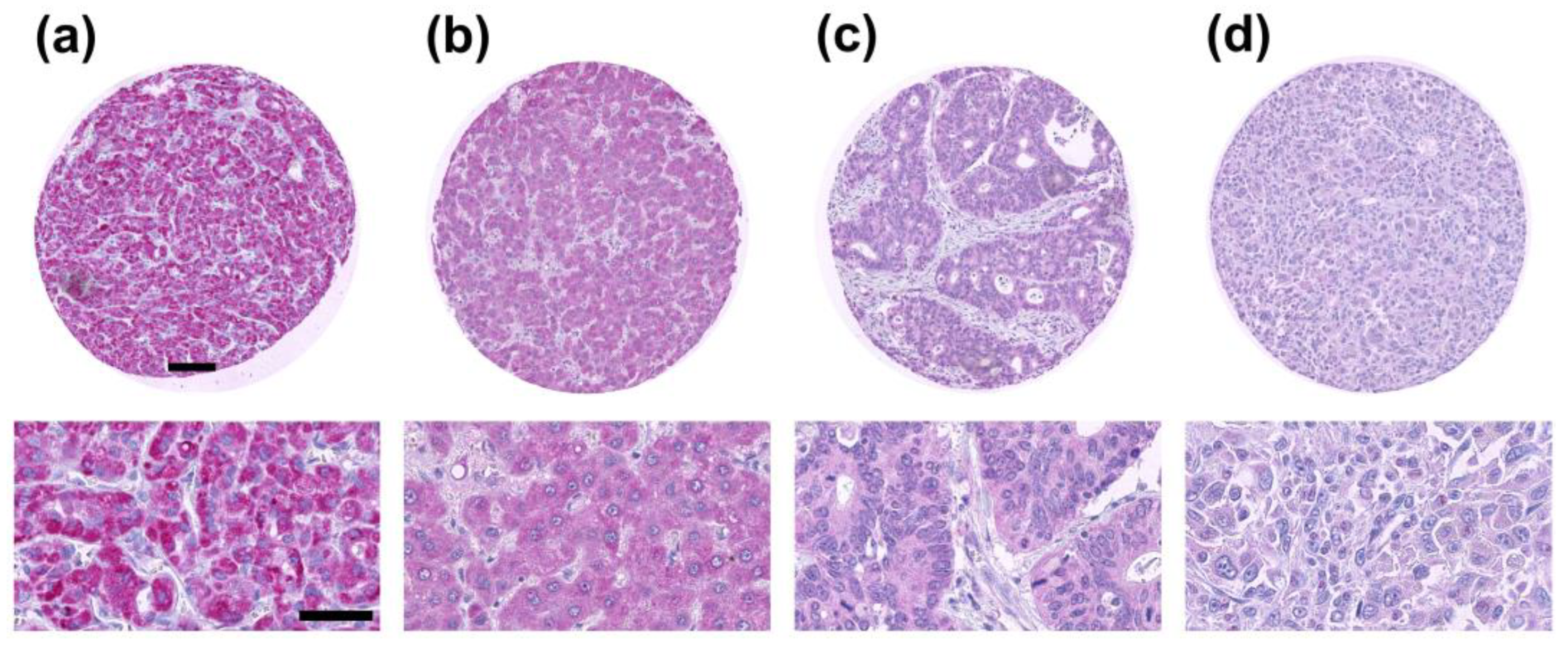 Cancers 12 03028 g001