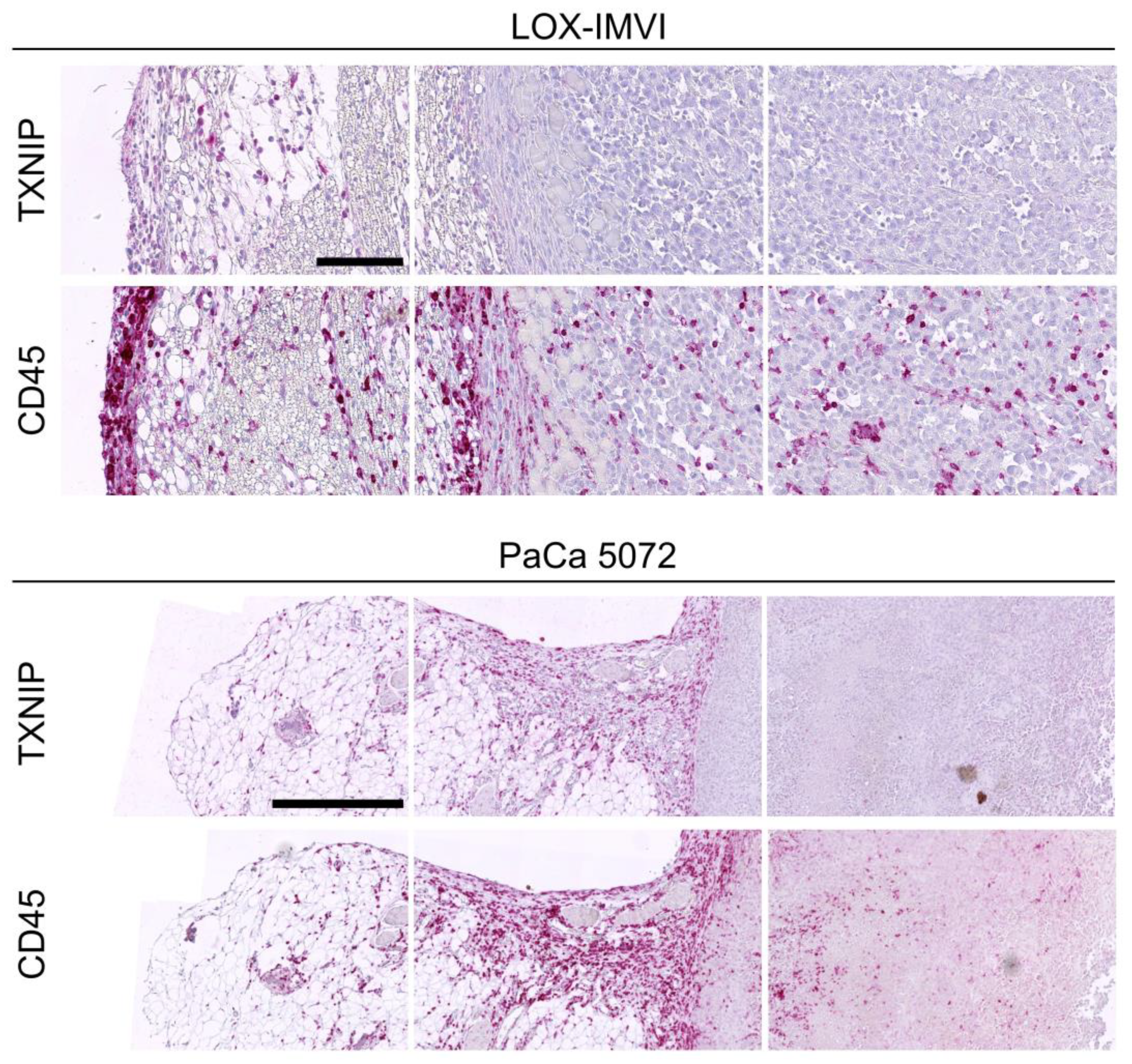 Cancers 12 03028 g006