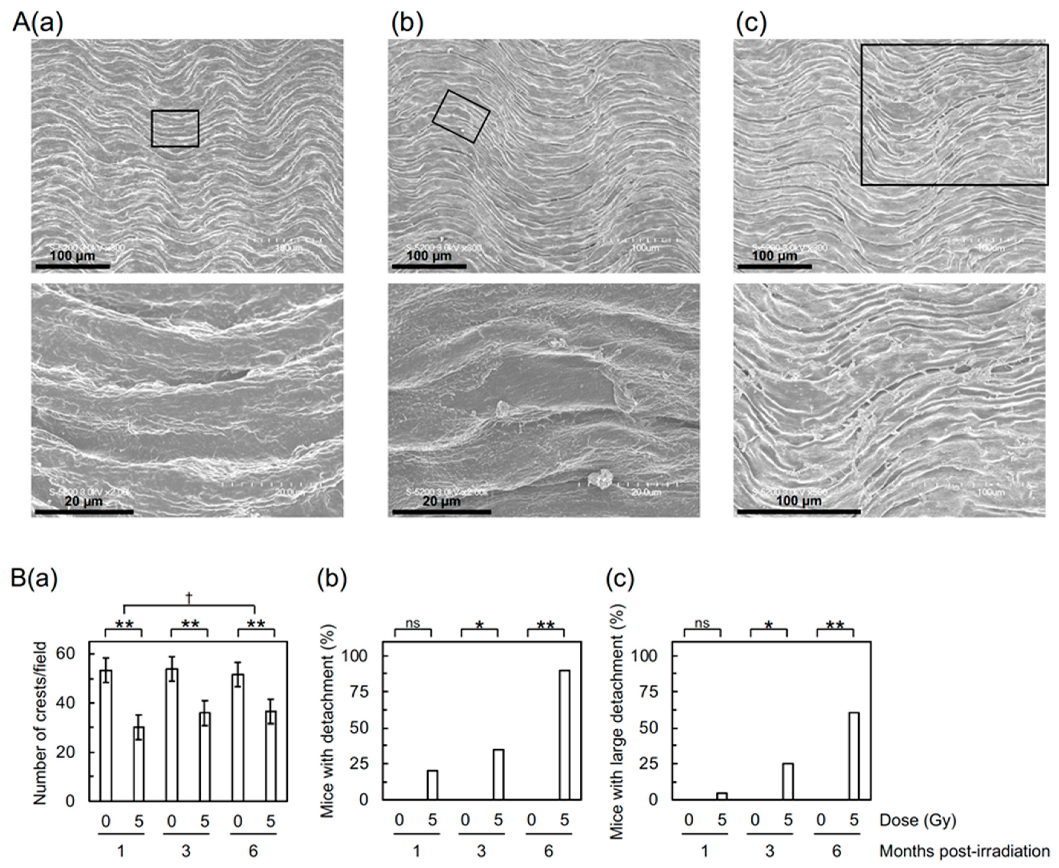 Cancers 12 03030 g001
