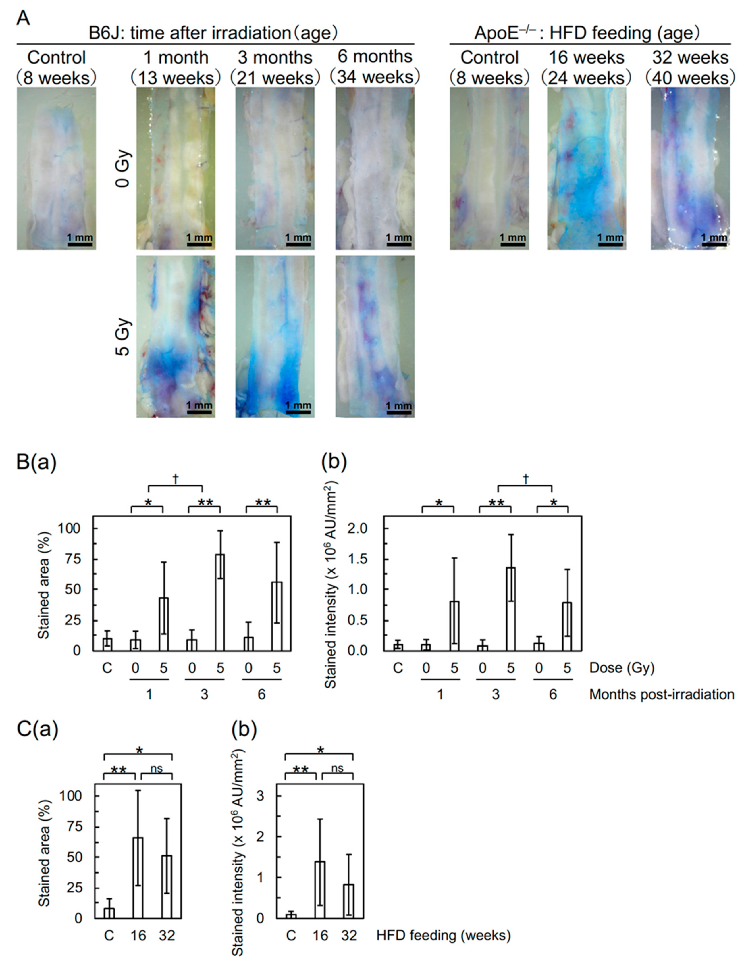 Cancers 12 03030 g002