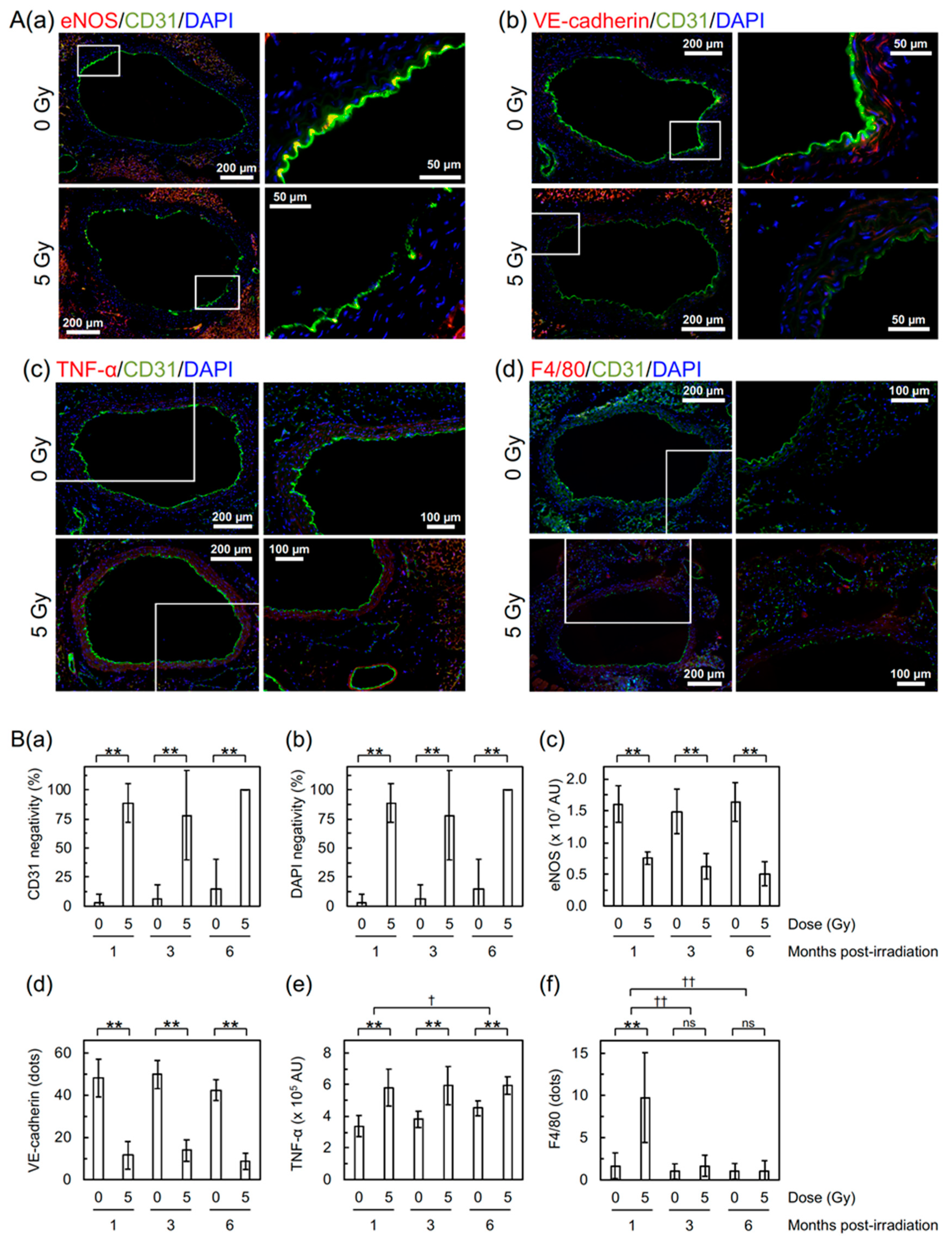 Cancers 12 03030 g003