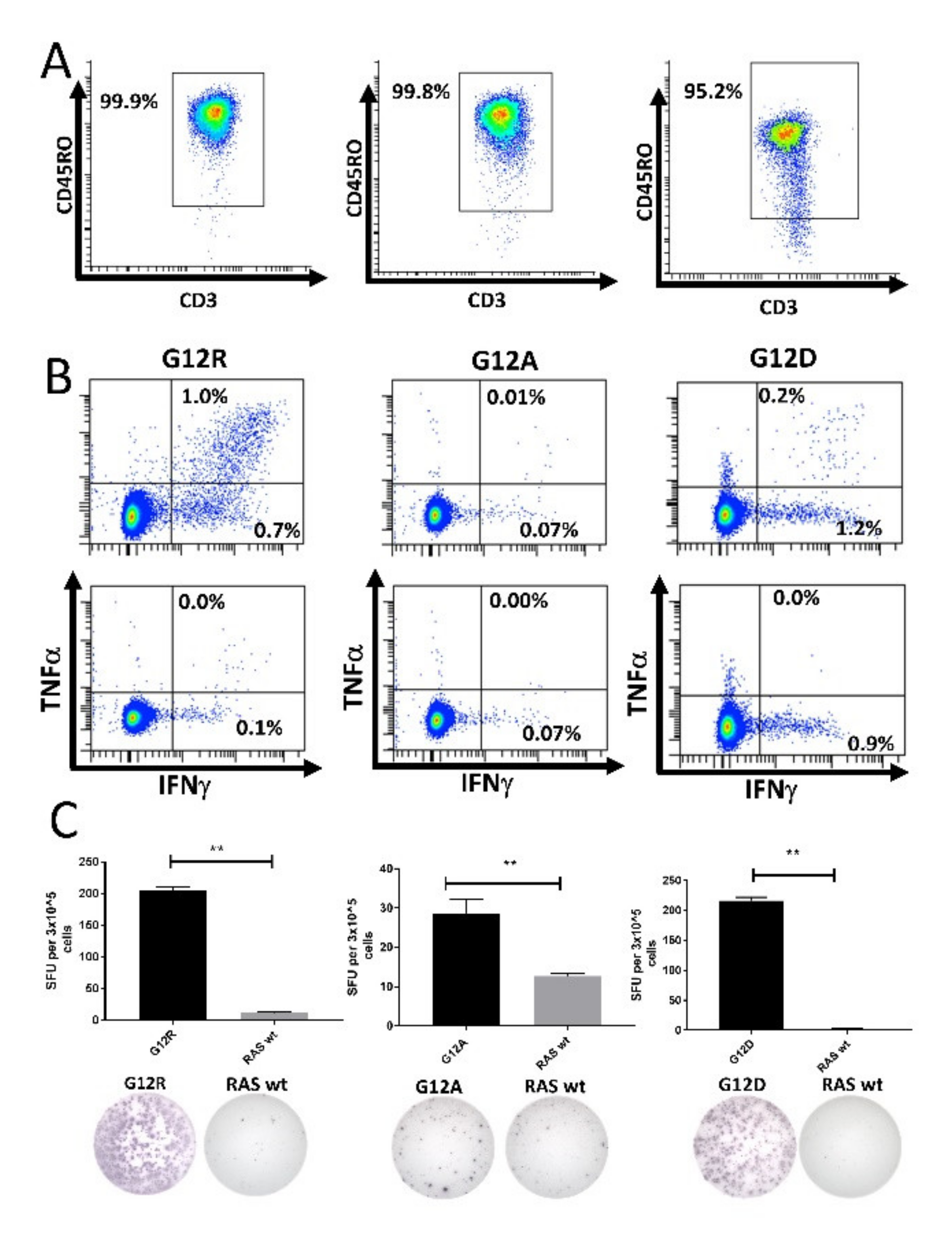 Cancers 12 03045 g004 Cancers 12 03045 g004