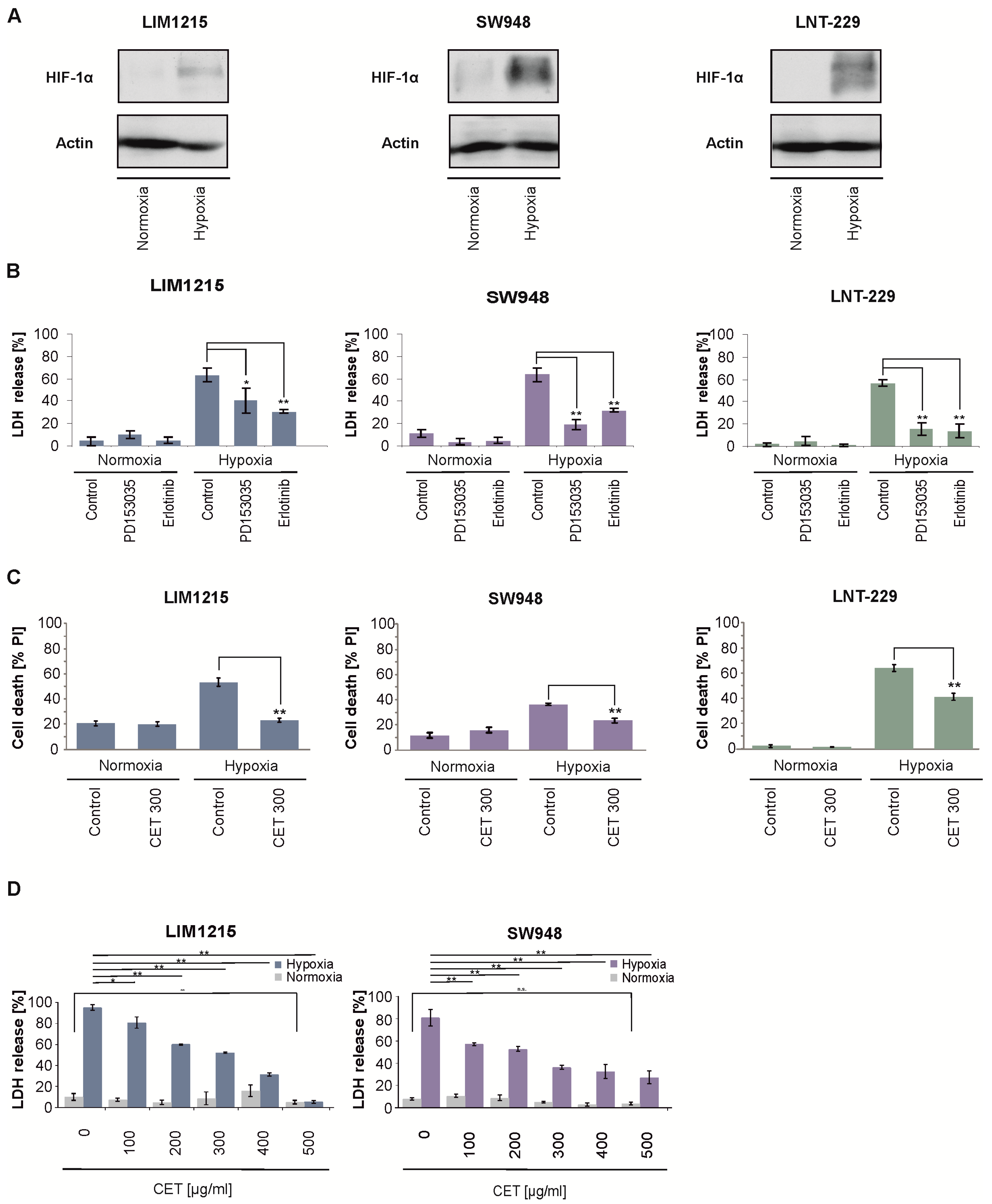 Cancers 12 03050 g002