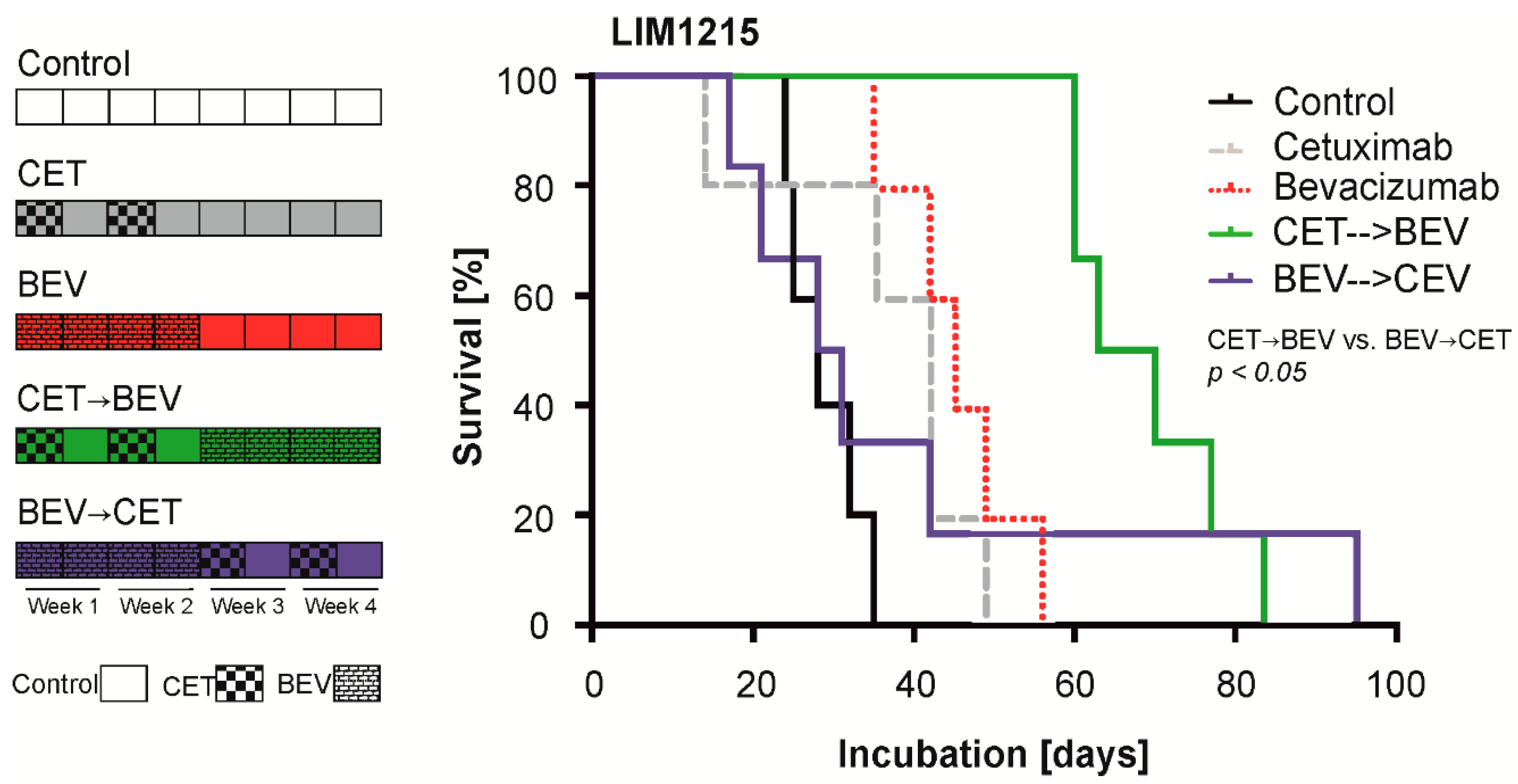 Cancers 12 03050 g004