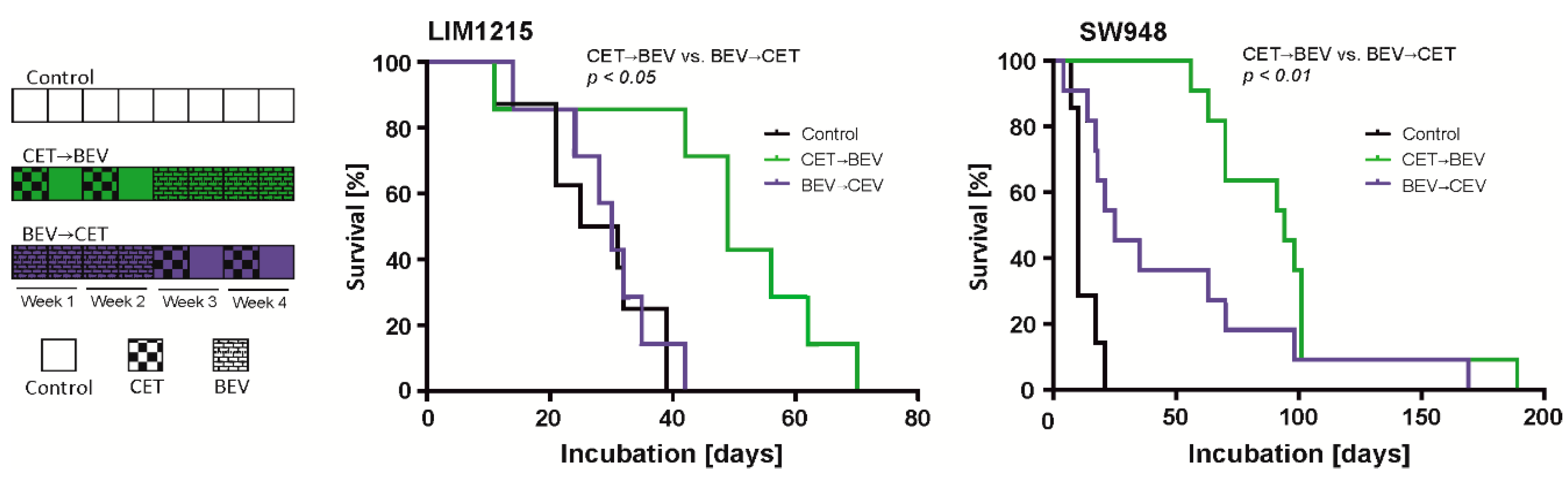 Cancers 12 03050 g005