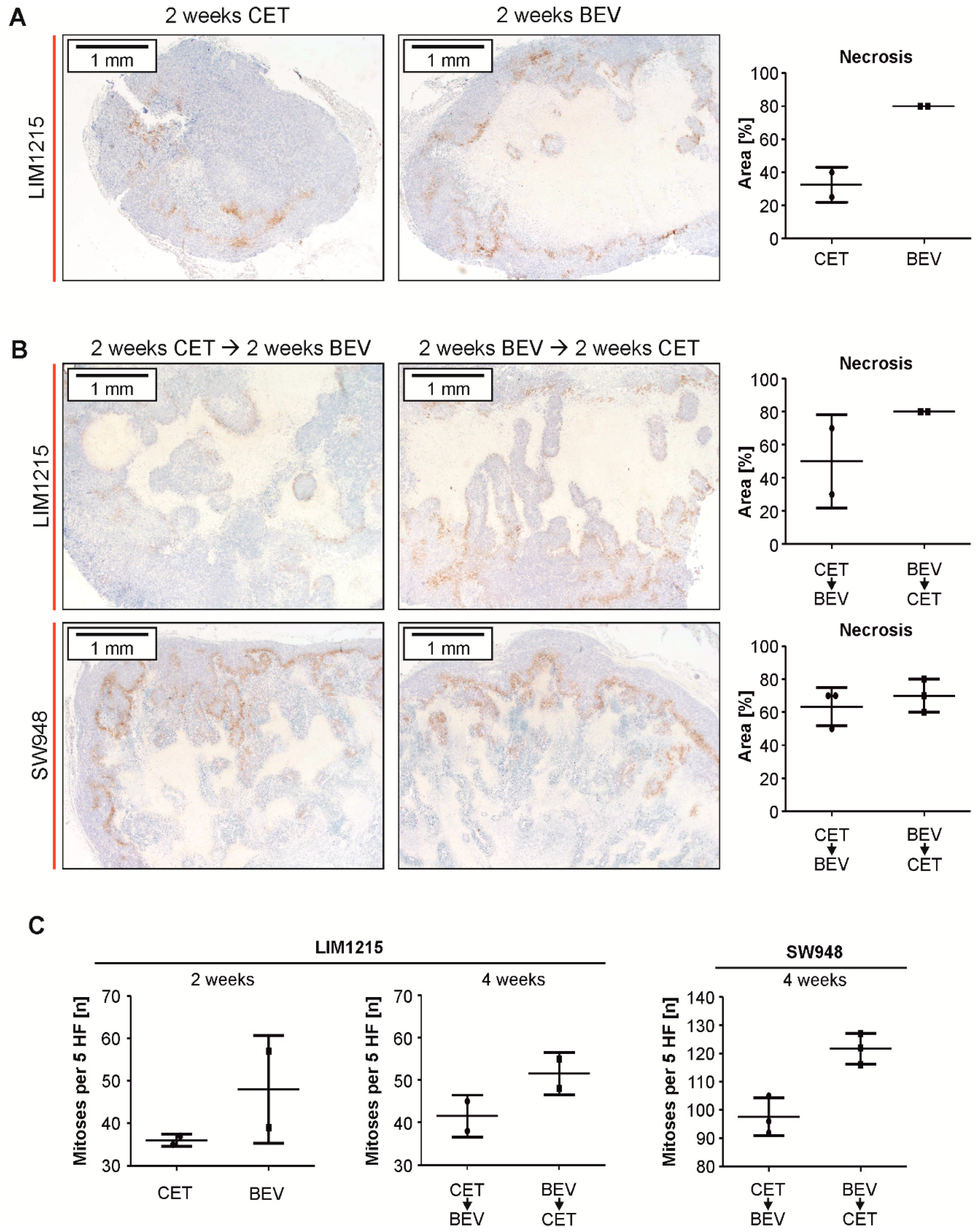 Cancers 12 03050 g006