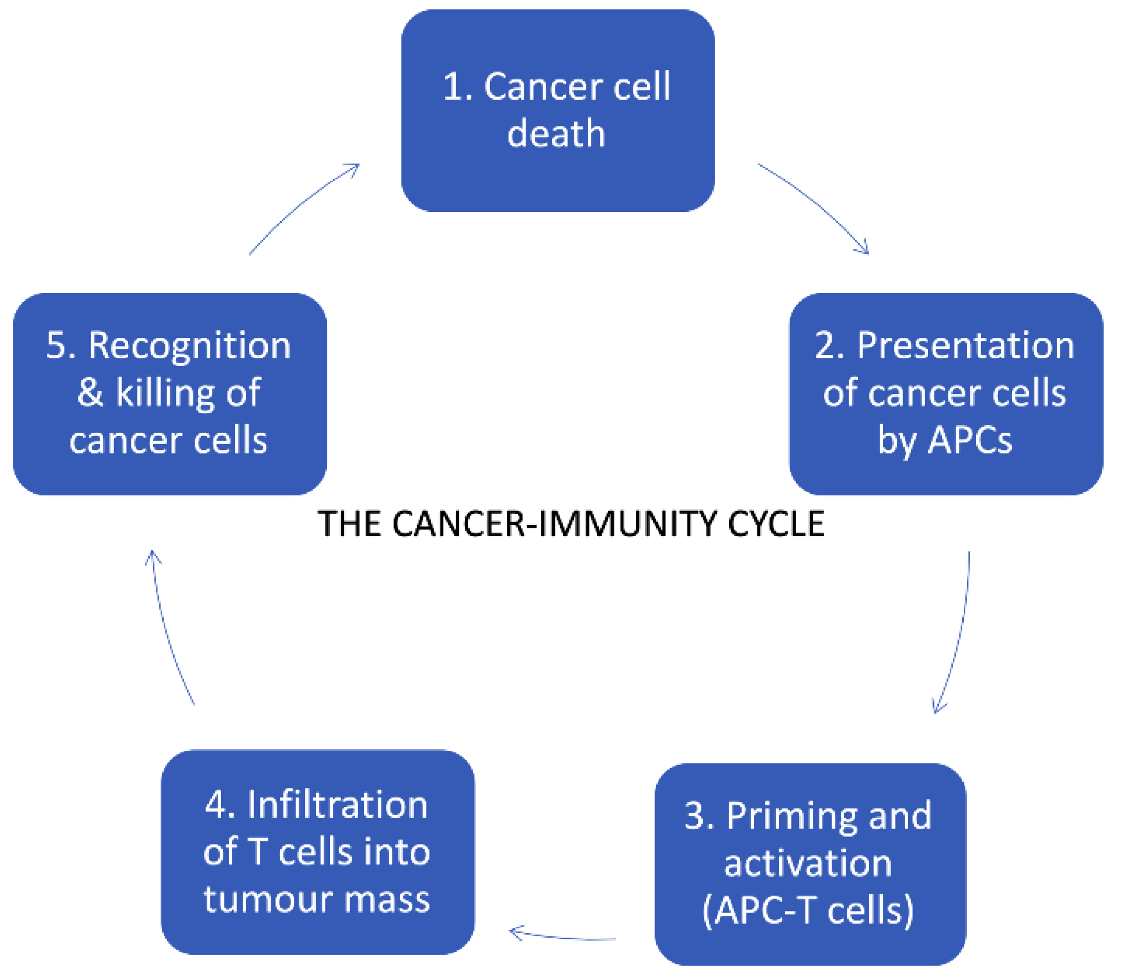 Cancers 12 03057 g001