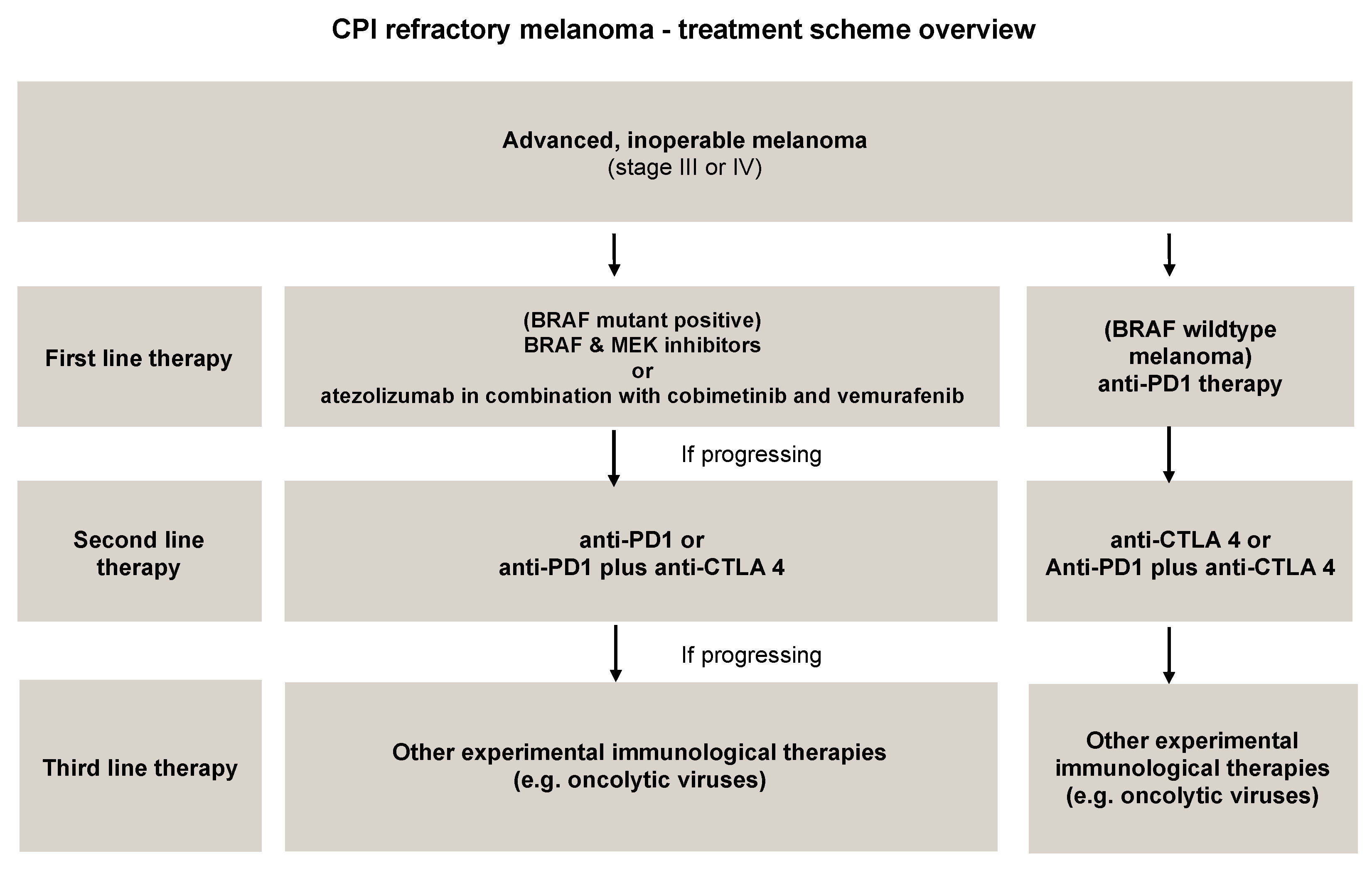 Cancers 12 03057 g003