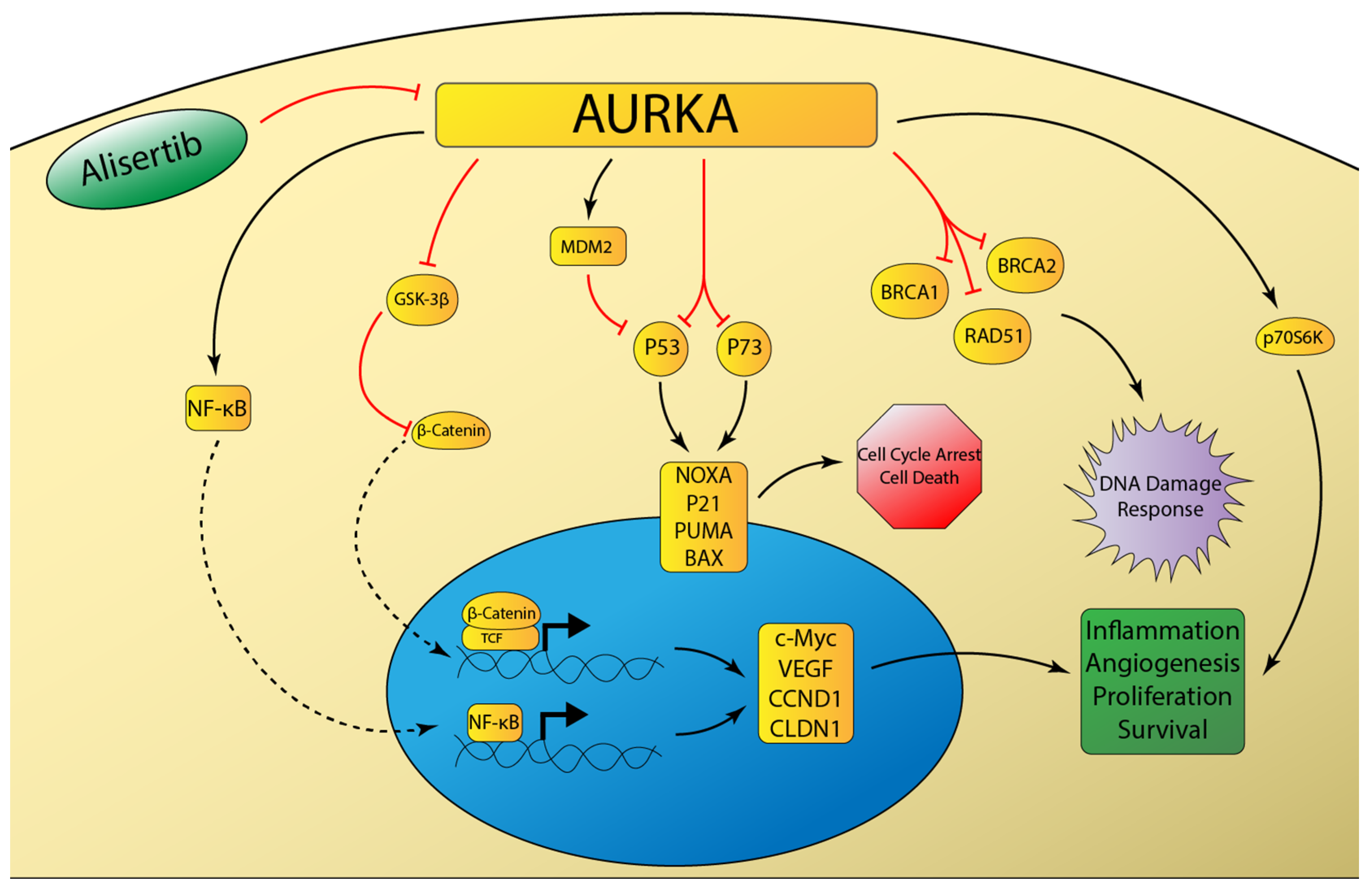 Cancers 12 03077 g002