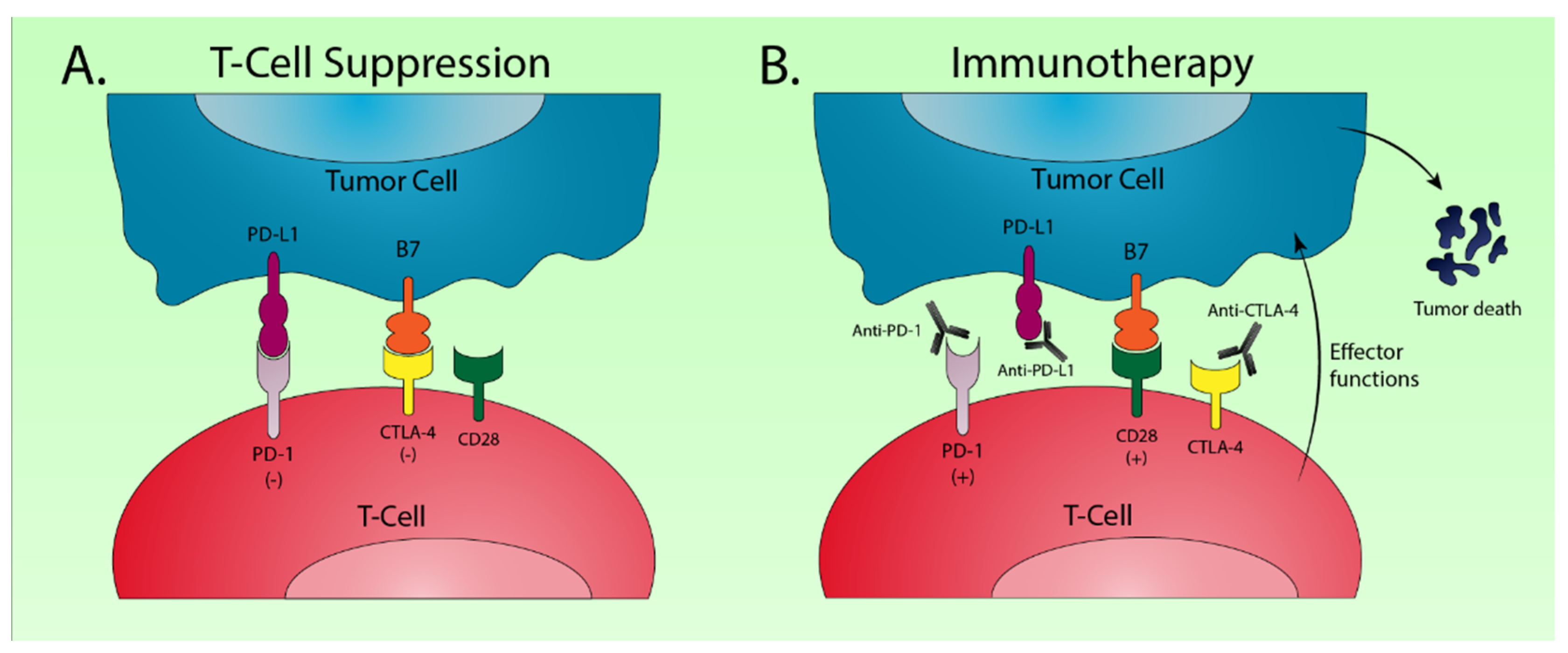 Cancers 12 03077 g003