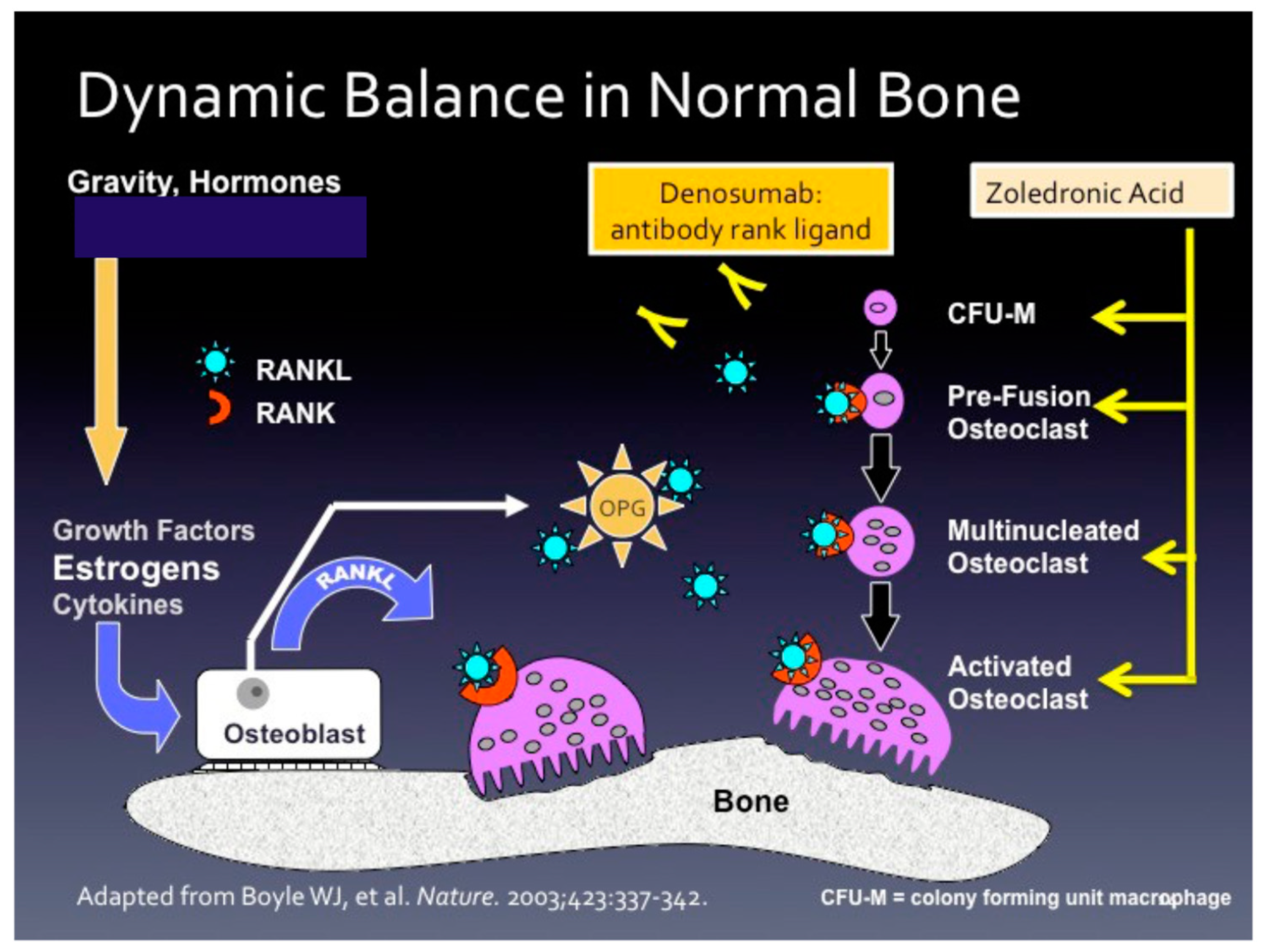 Cancers 12 03094 g001