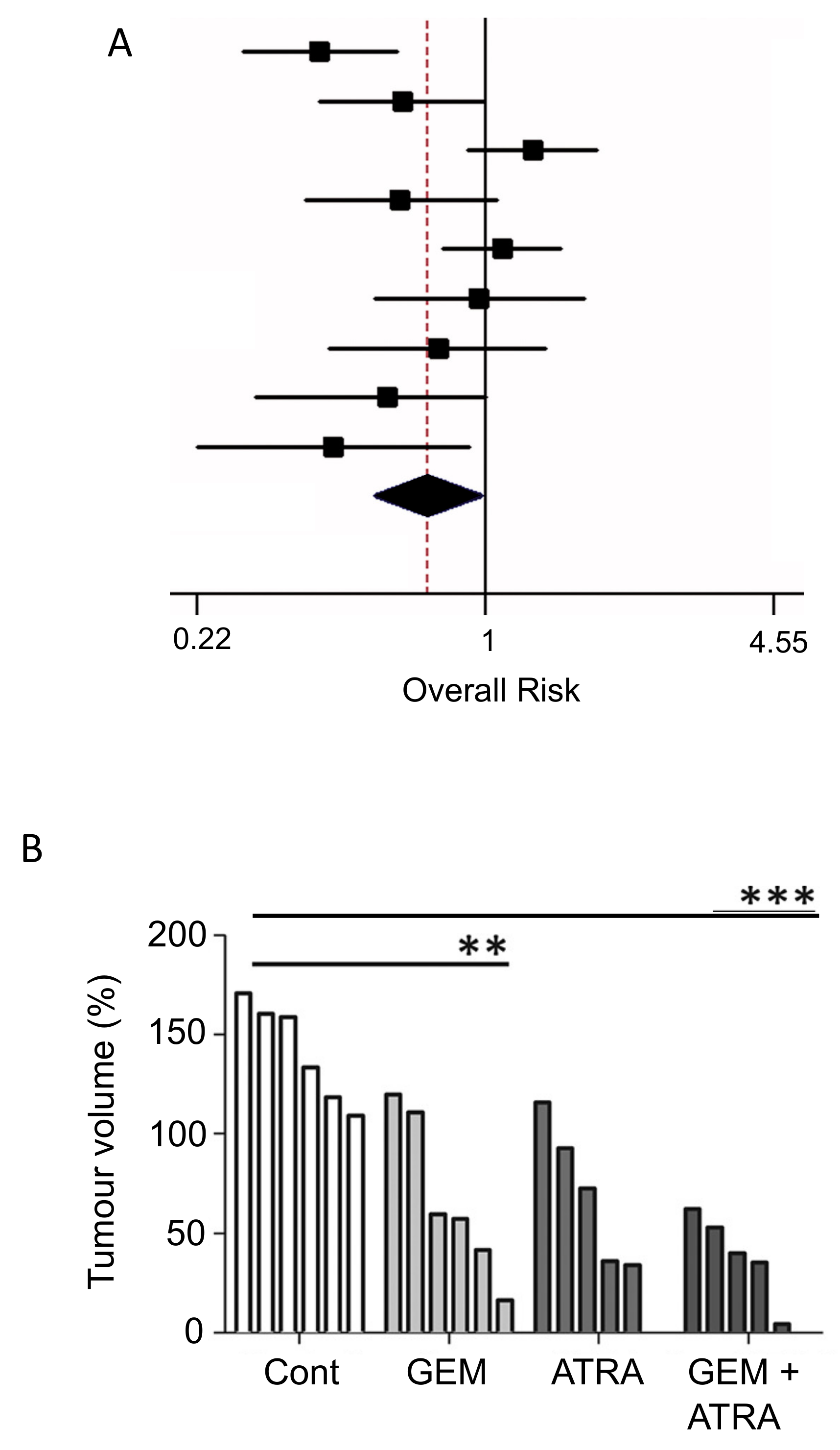 Cancers 12 03096 g007 Cancers 12 03096 g007