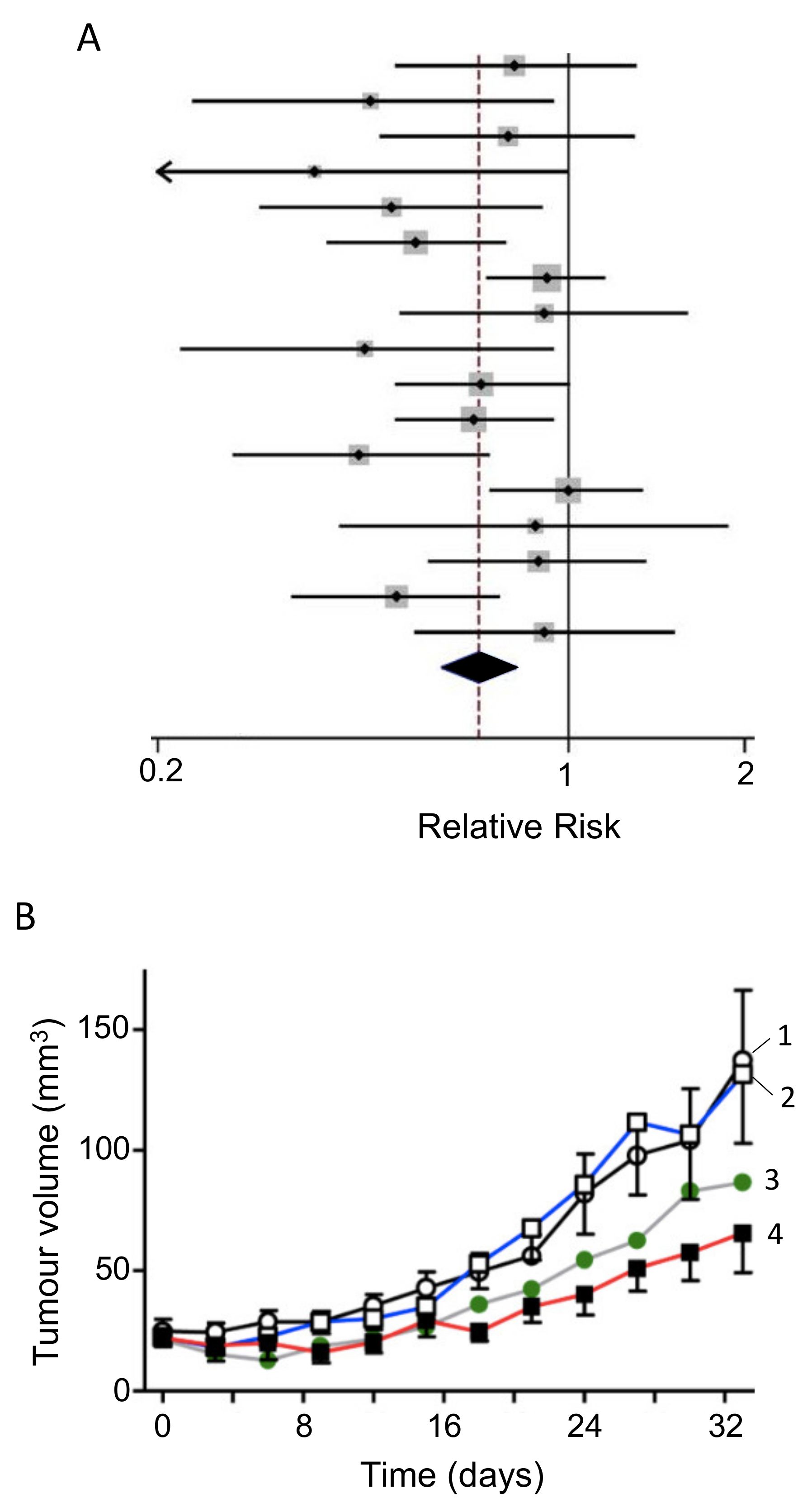 Cancers 12 03096 g008 Cancers 12 03096 g008