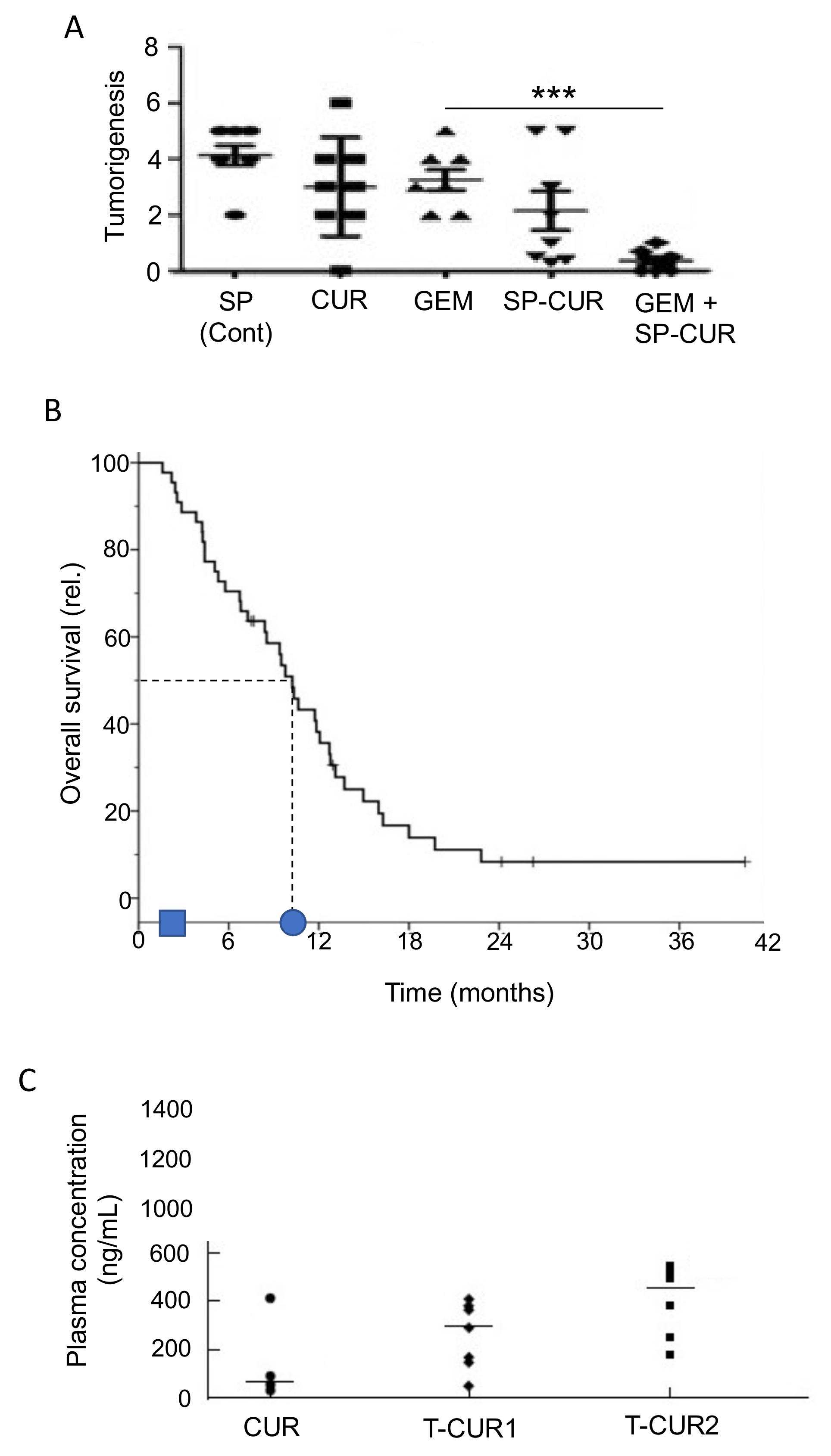 Cancers 12 03096 g011 Cancers 12 03096 g011
