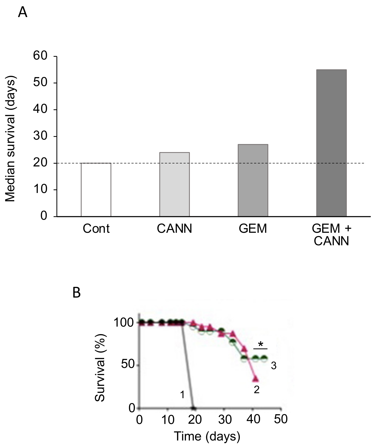 Cancers 12 03096 g015 Cancers 12 03096 g015