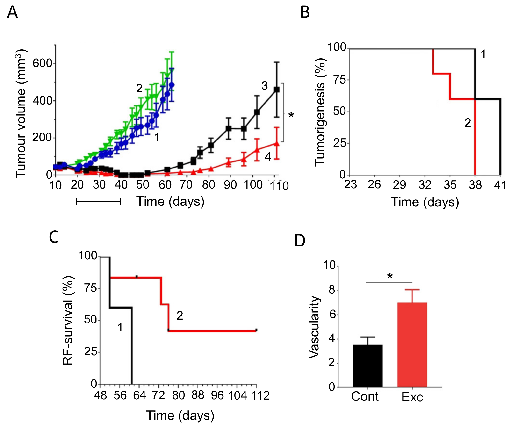 Cancers 12 03096 g018 Cancers 12 03096 g018