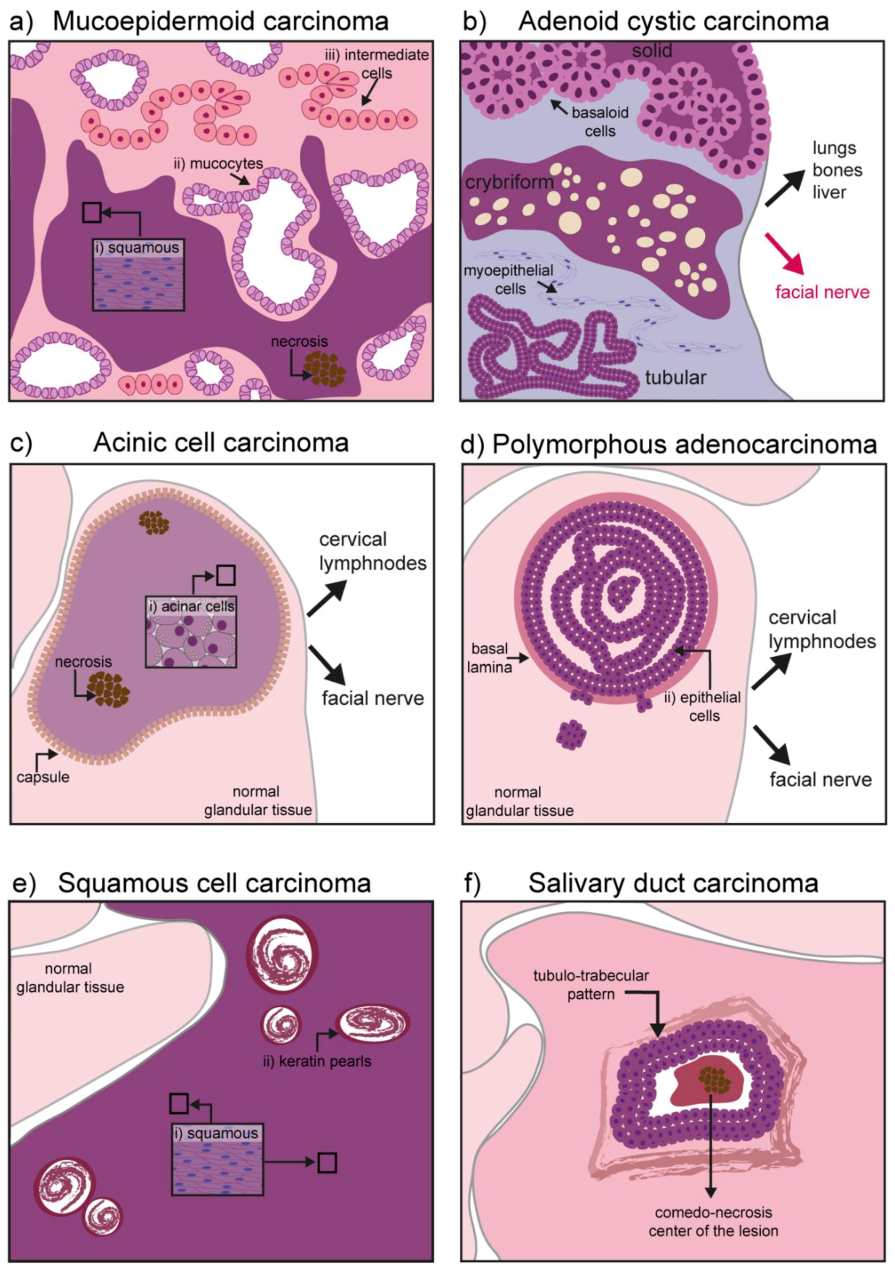 Cancers 12 03107 g002