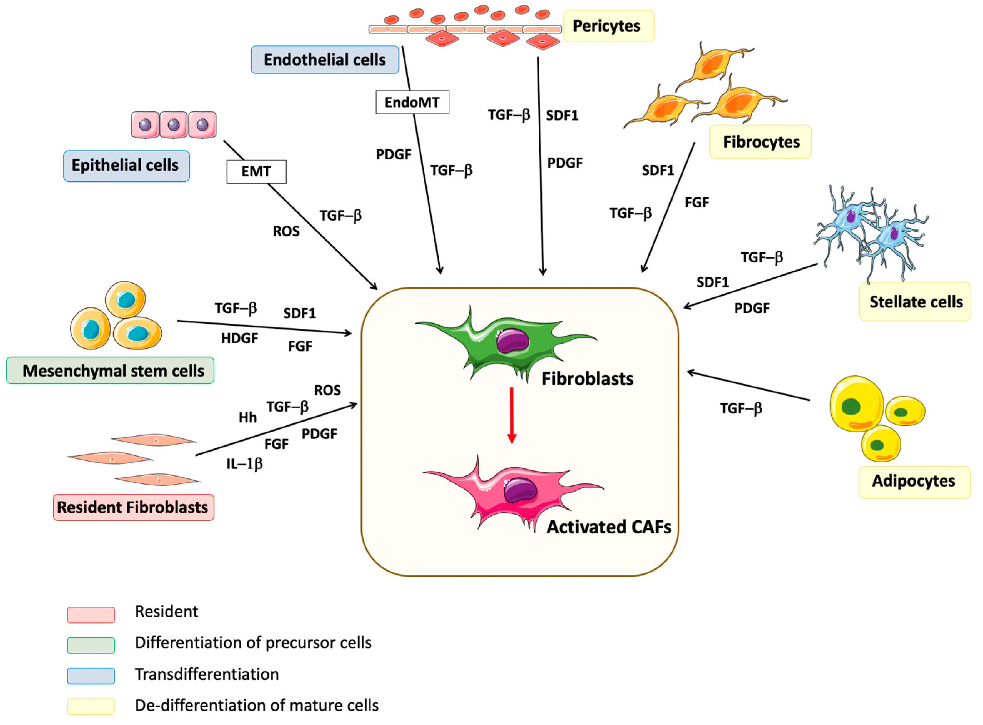 Cancers 12 03108 g001