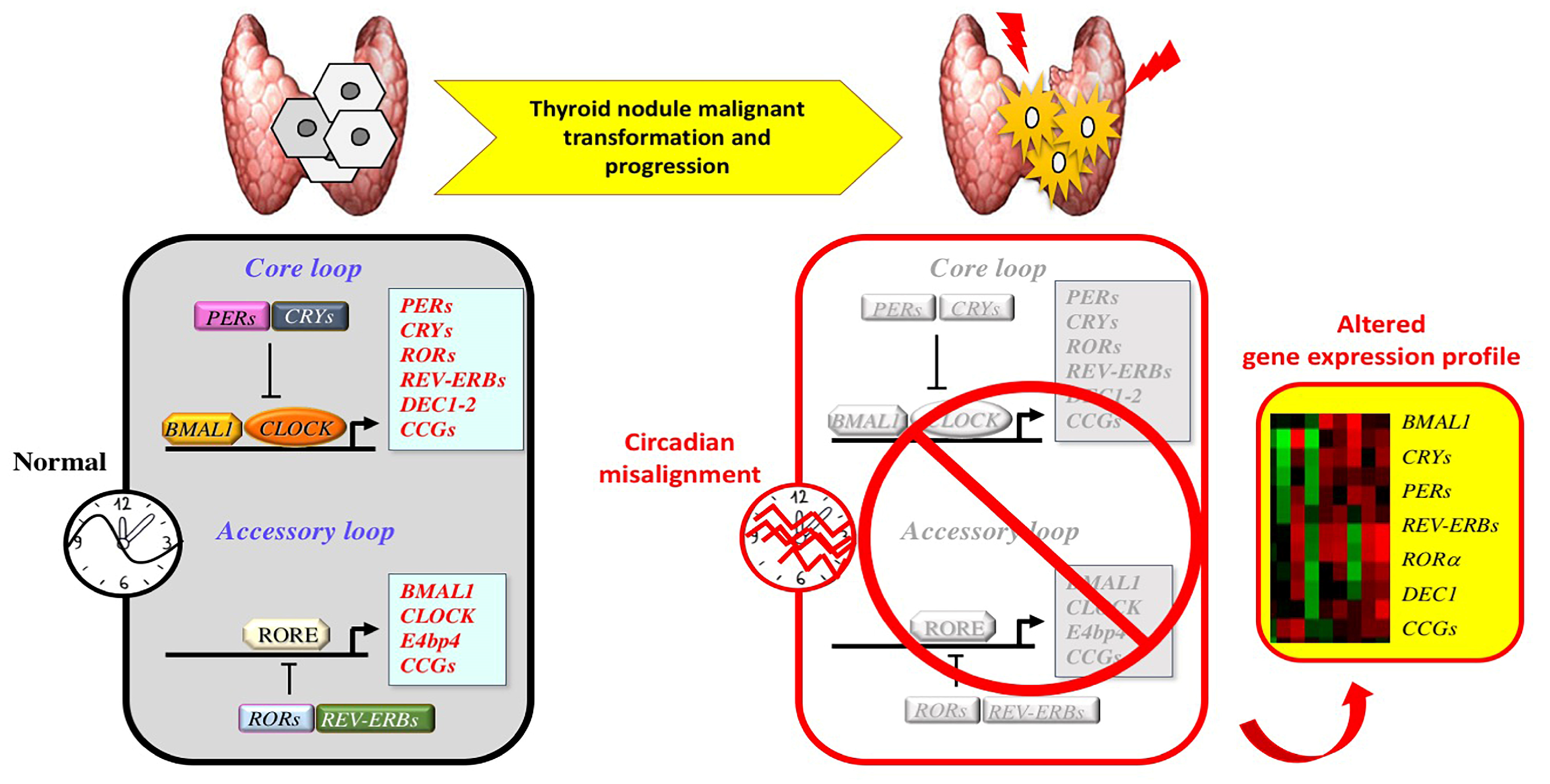 Cancers 12 03109 g002