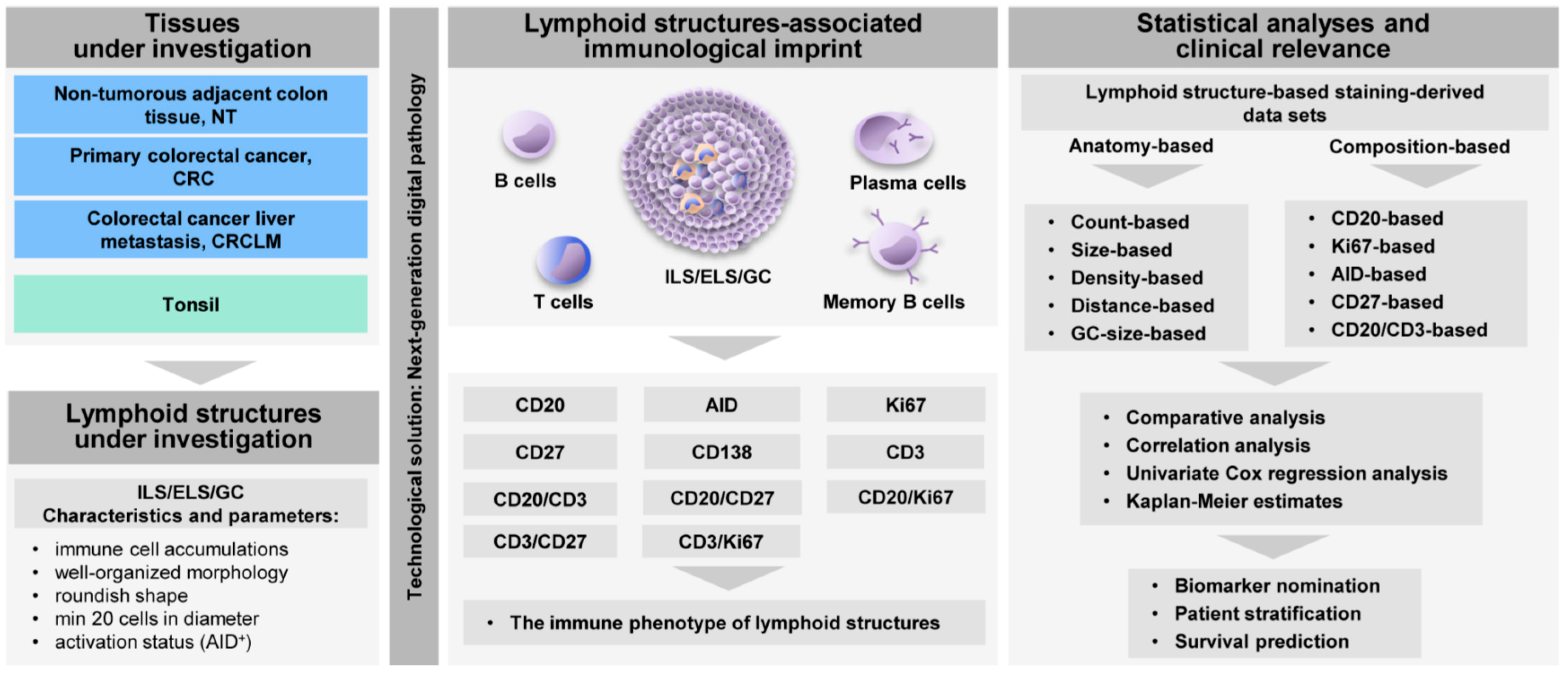 Cancers 12 03117 g001