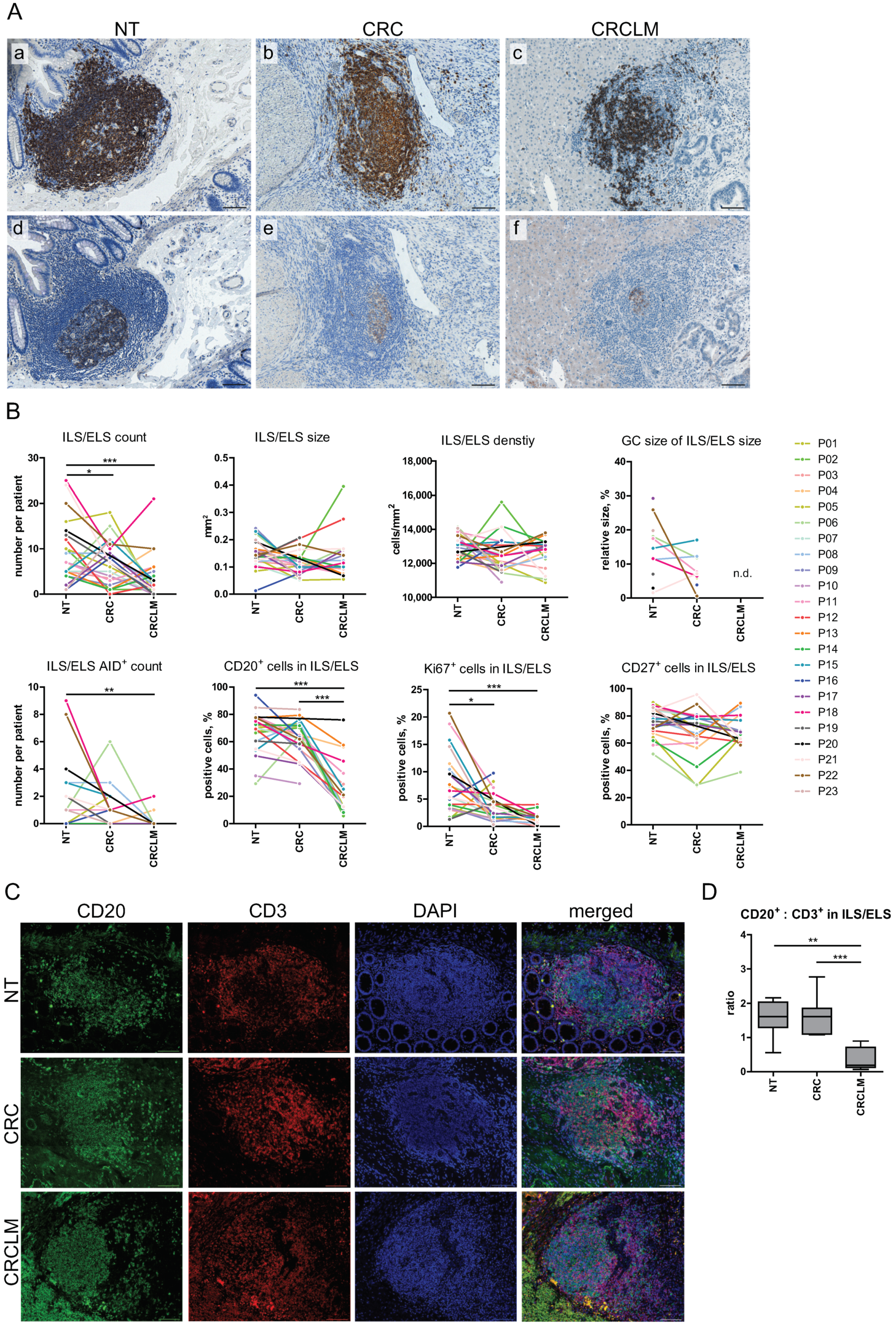 Cancers 12 03117 g004