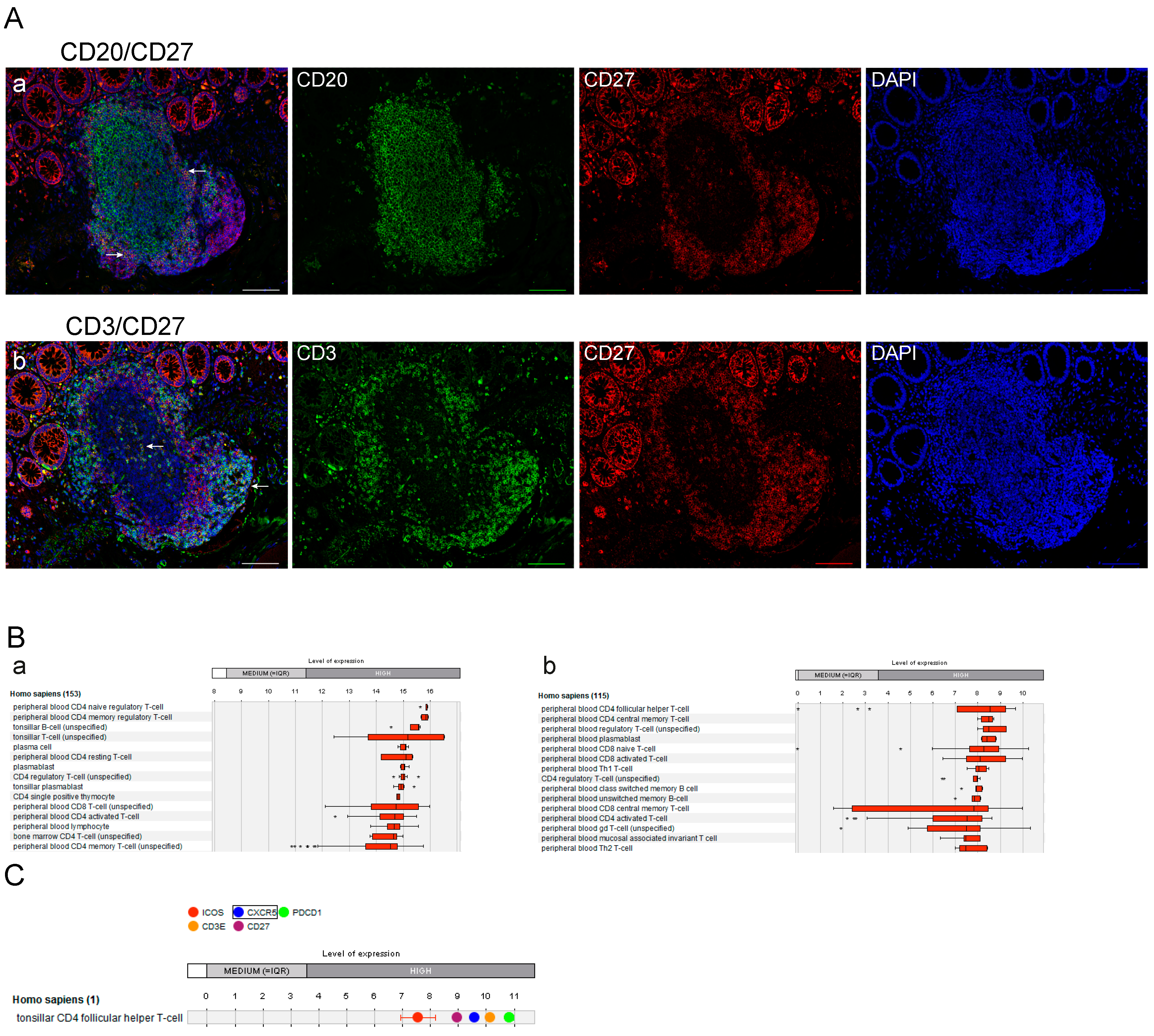 Cancers 12 03117 g005