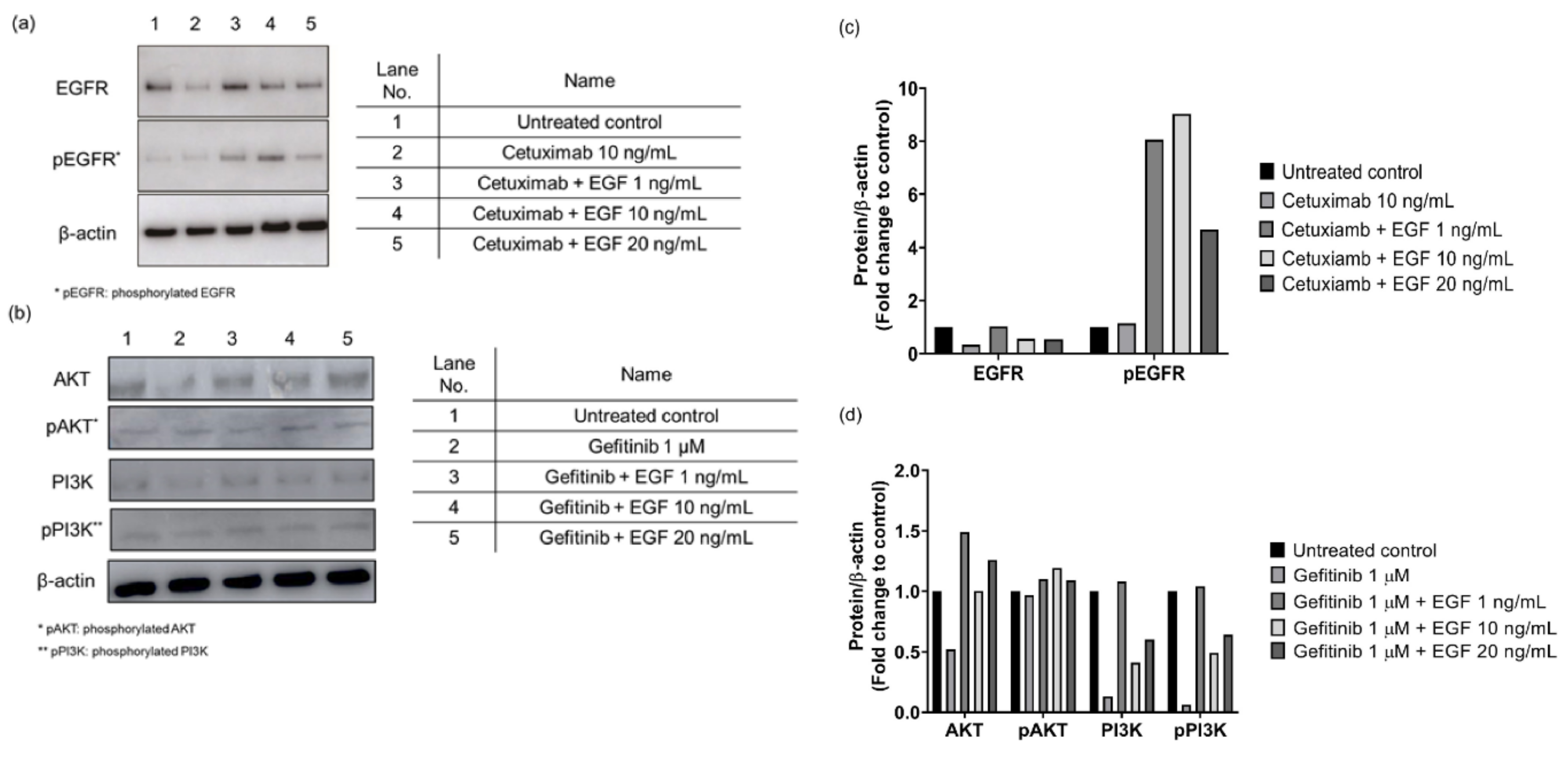 Cancers 12 03120 g001 Cancers 12 03120 g001
