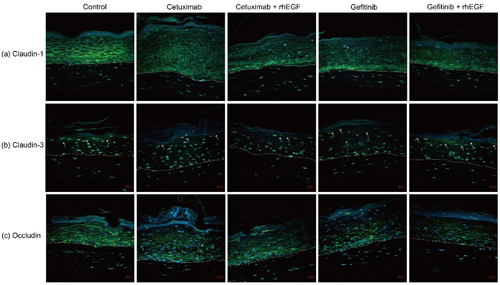 Cancers 12 03120 g003 Cancers 12 03120 g003