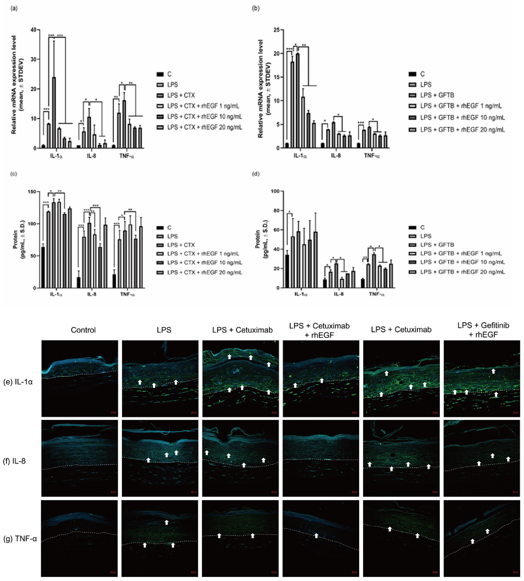 Cancers 12 03120 g004 Cancers 12 03120 g004