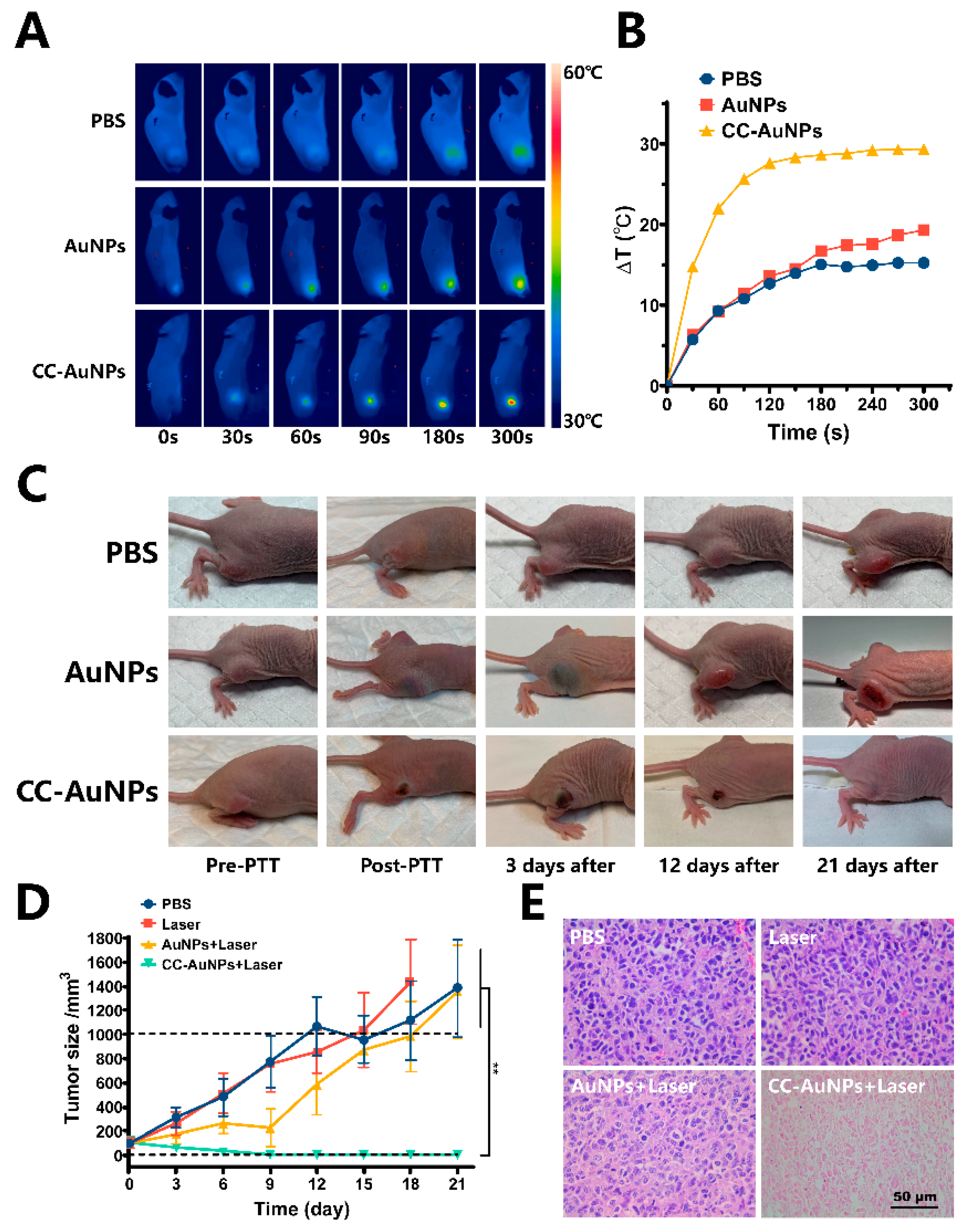 Cancers 12 03136 g006