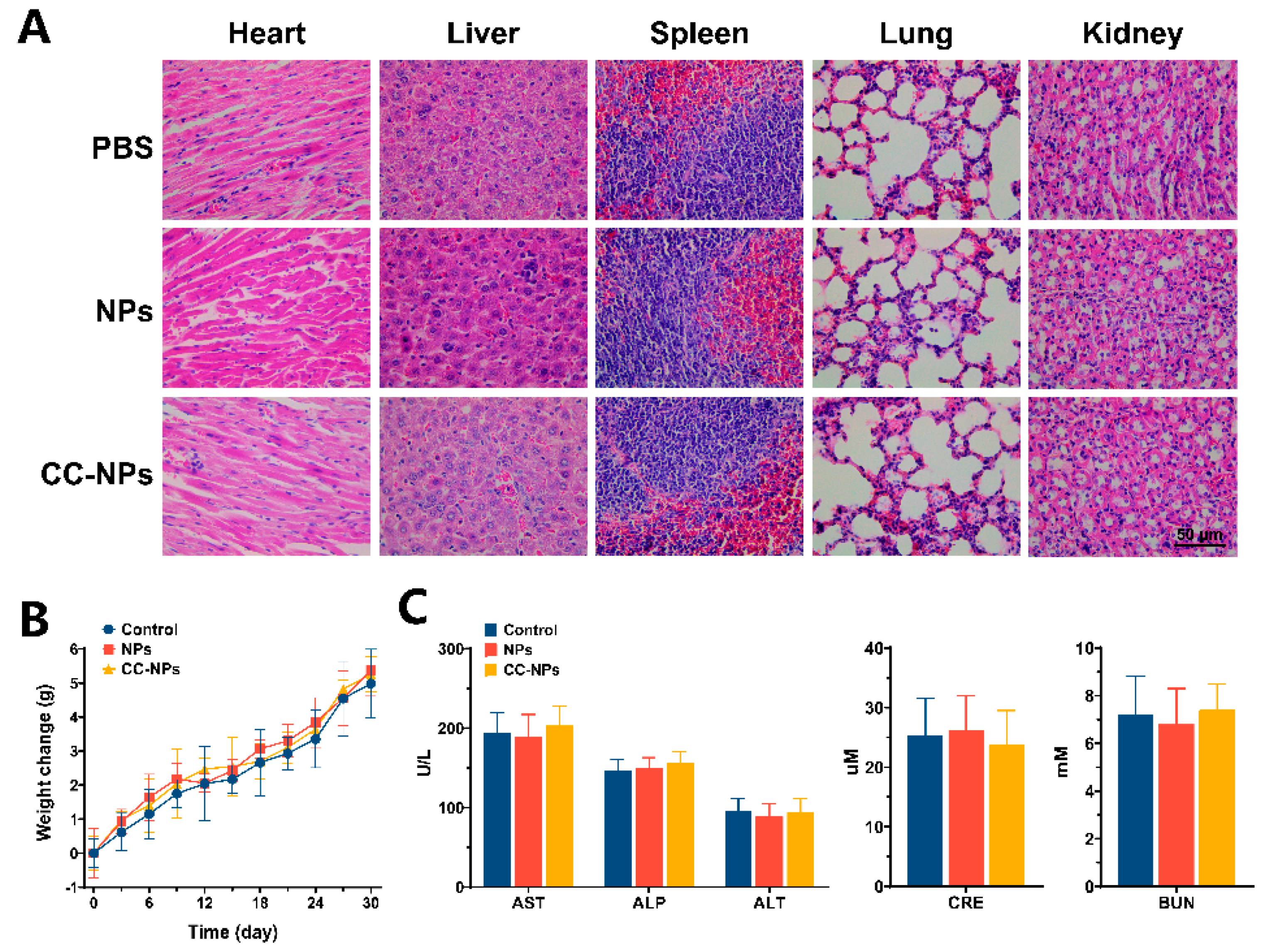 Cancers 12 03136 g007