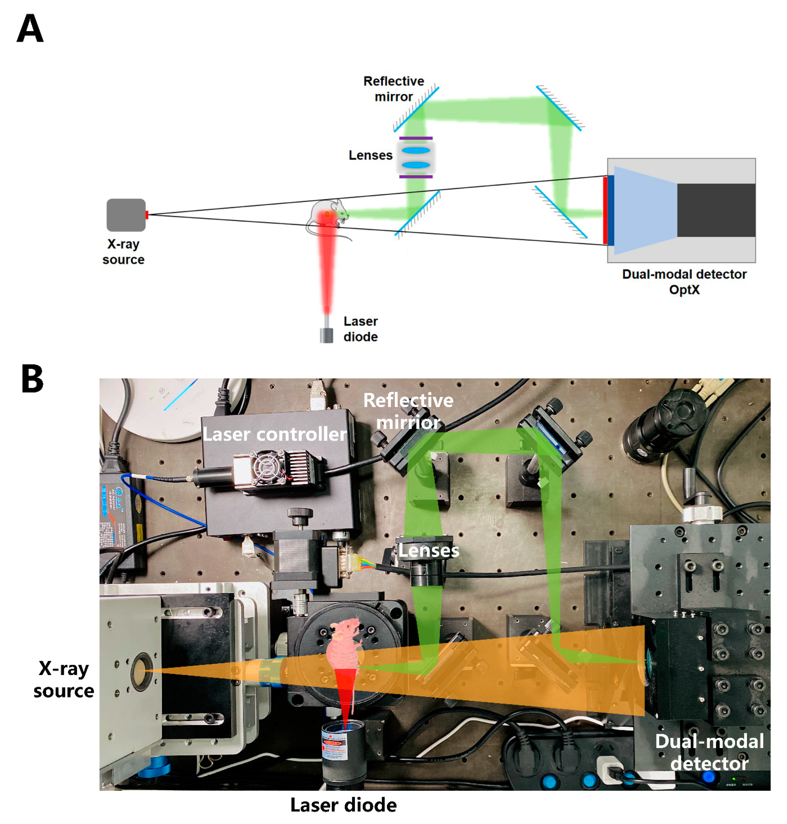 Cancers 12 03136 g008