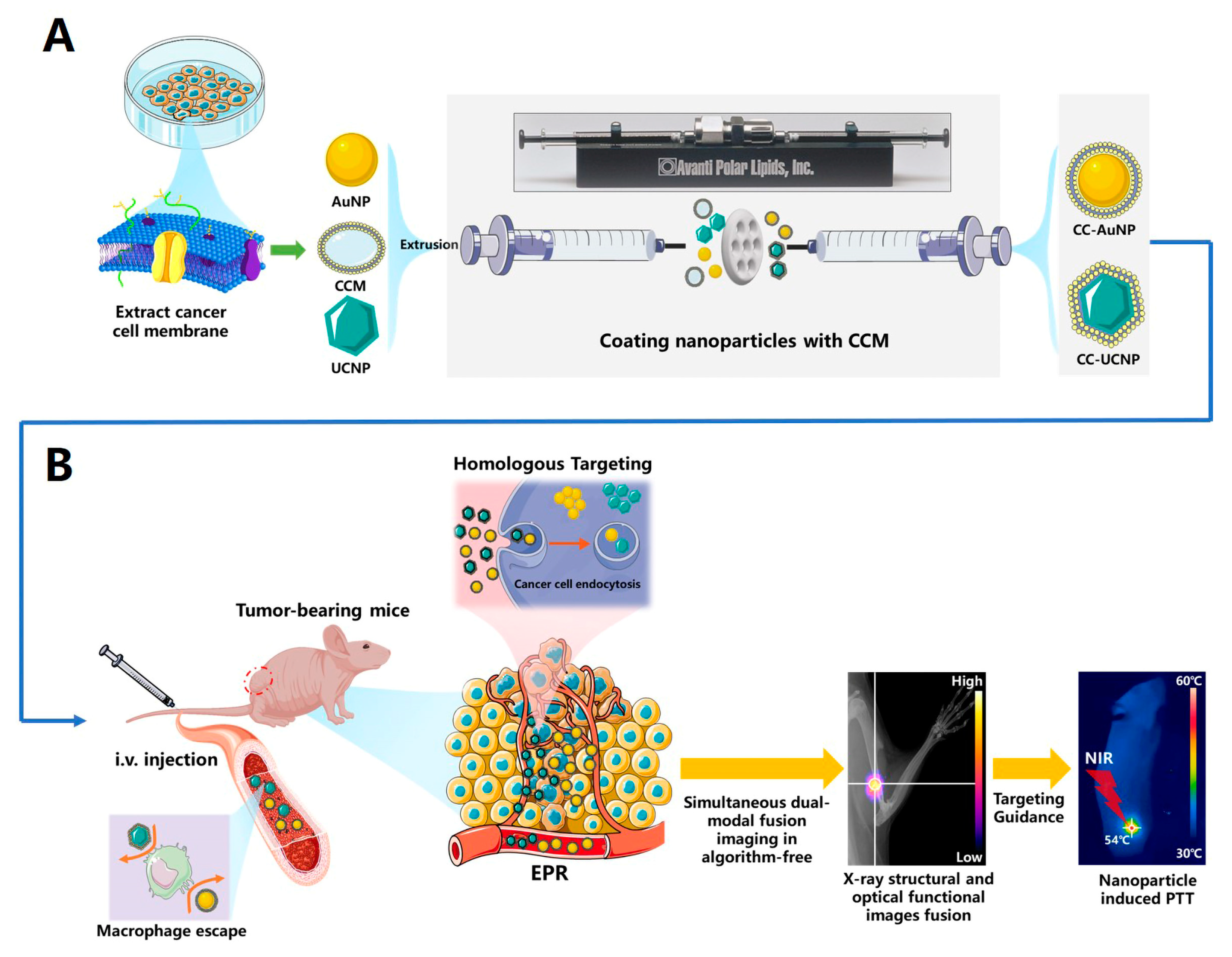 Cancers 12 03136 sch001