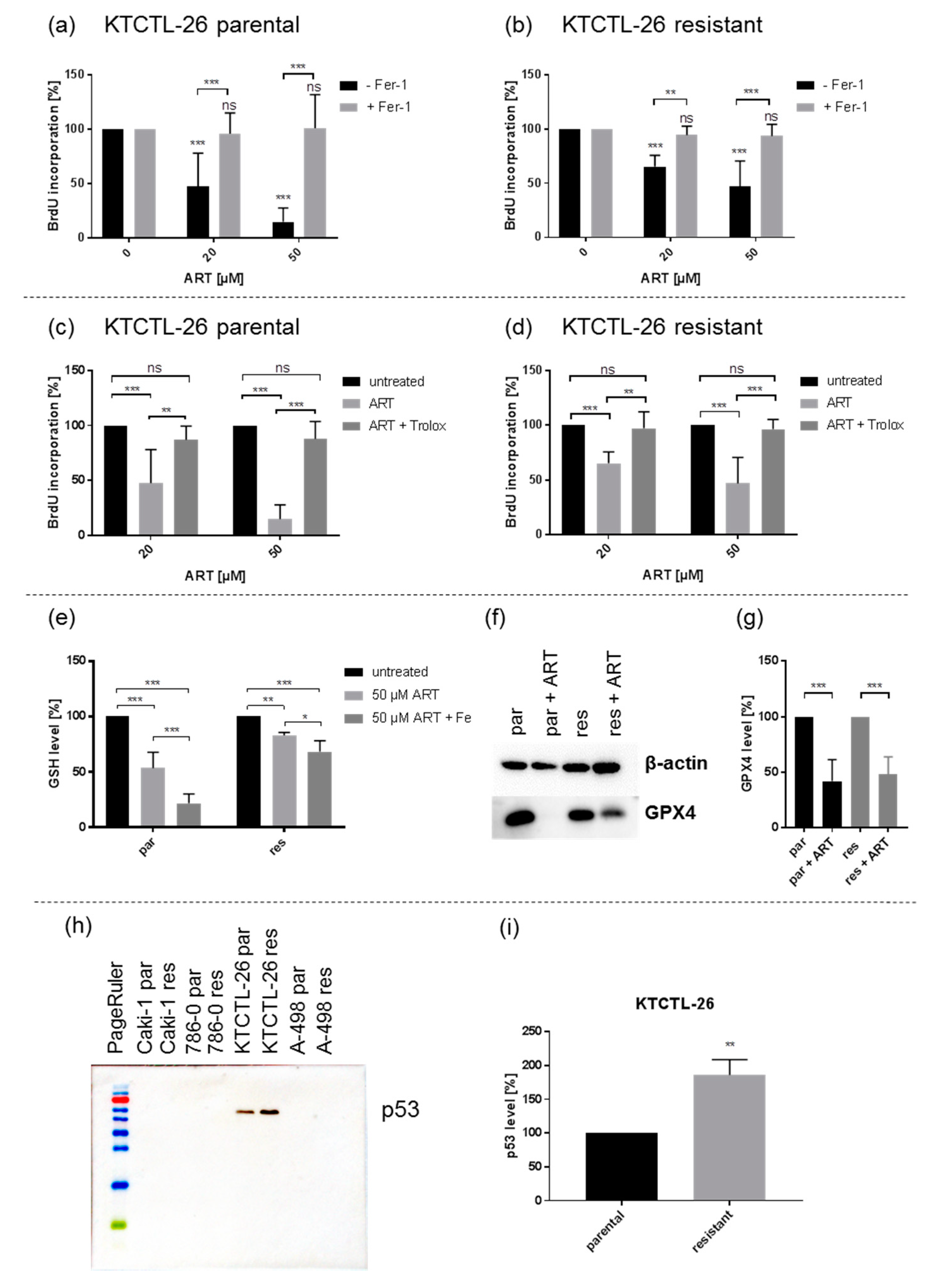 Cancers 12 03150 g009