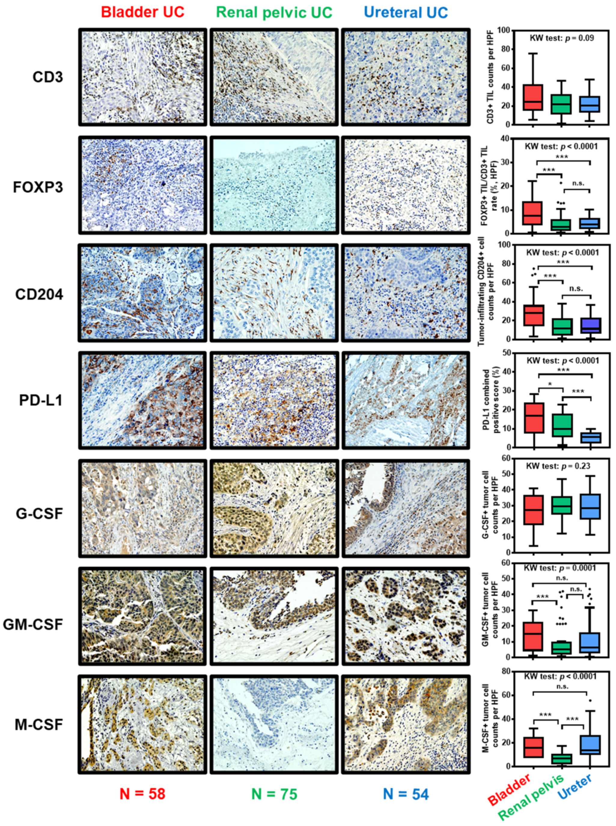 Cancers 12 03153 g002