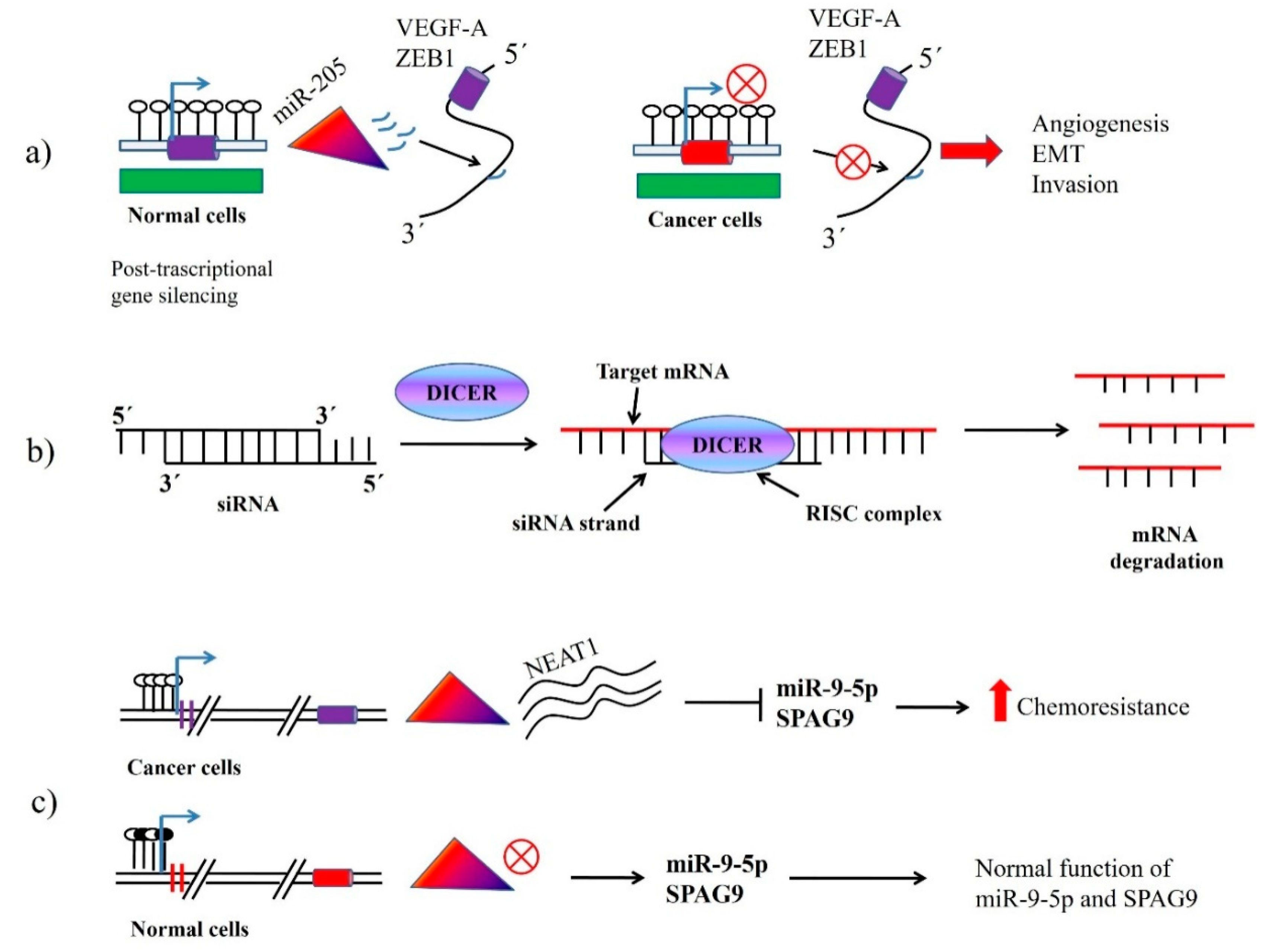 Cancers 12 03159 g001 Cancers 12 03159 g001