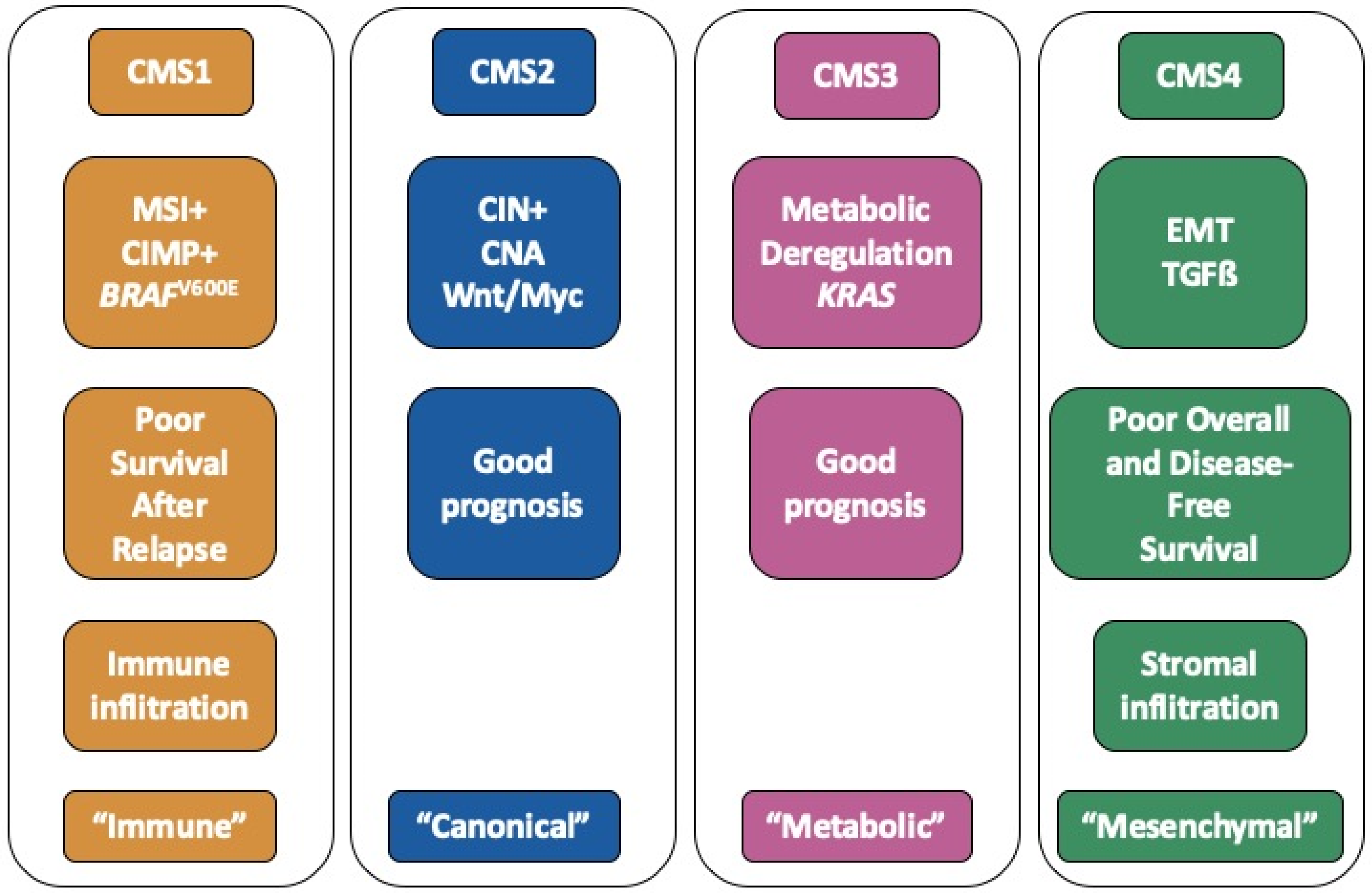 Cancers 12 03160 g001