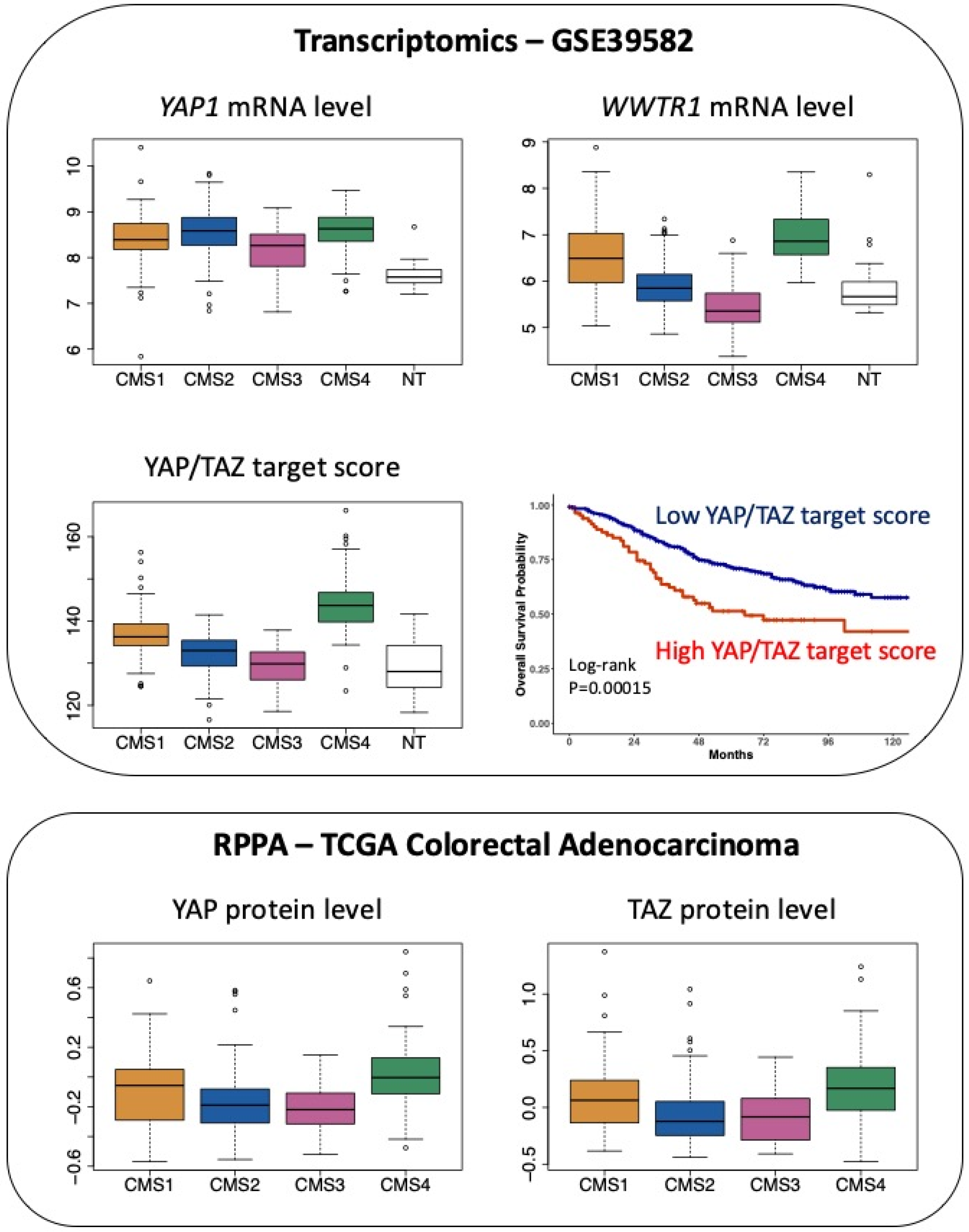 Cancers 12 03160 g003