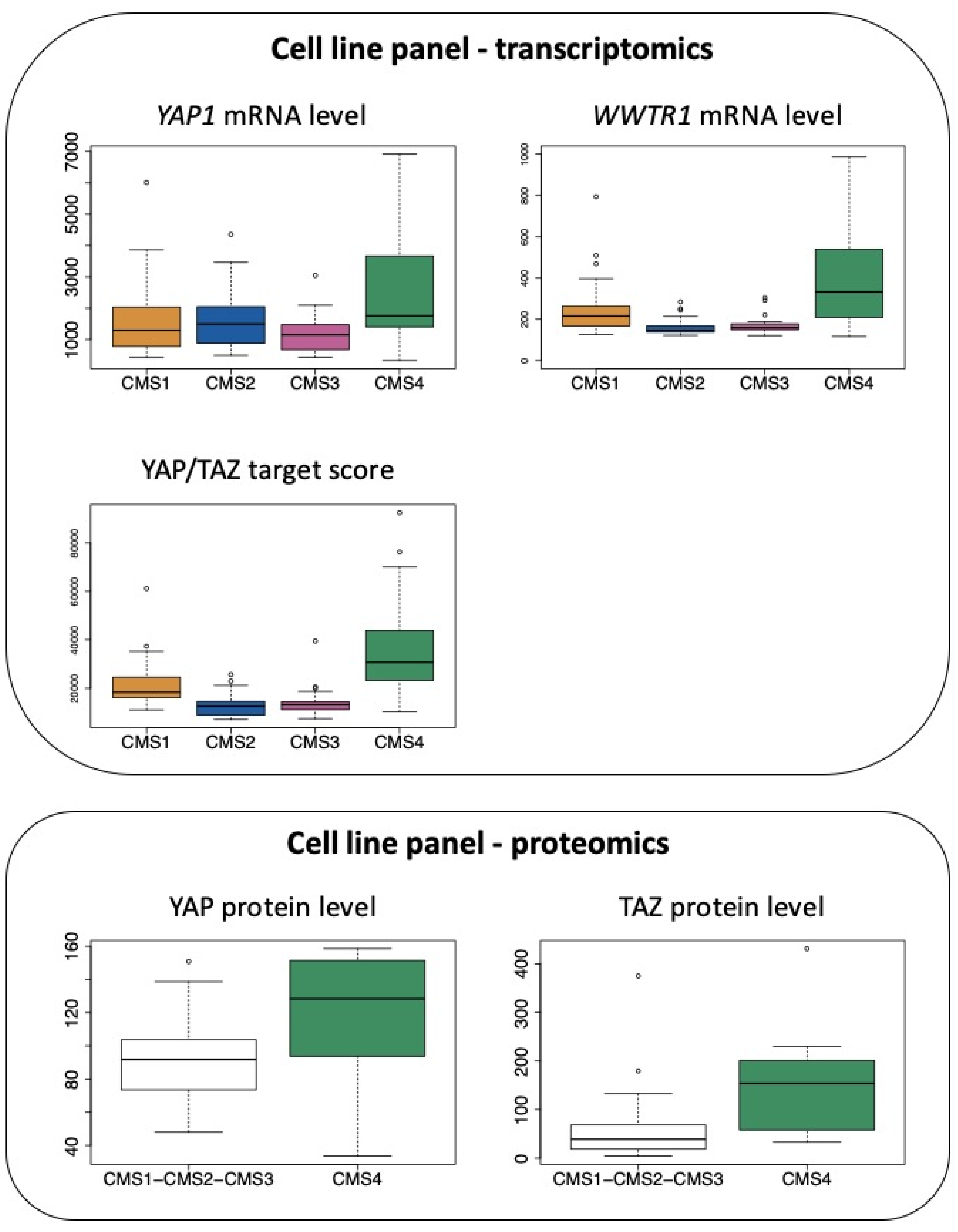 Cancers 12 03160 g004